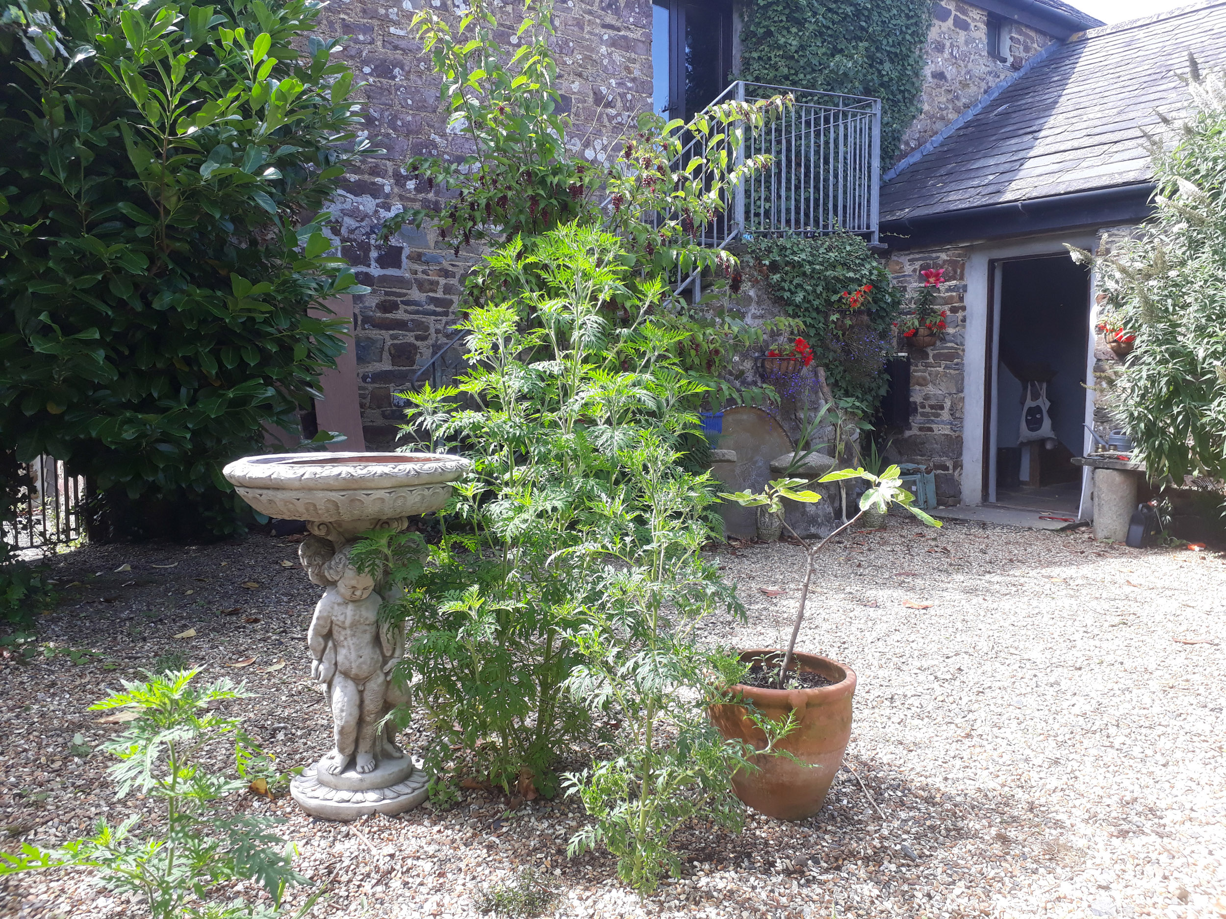 Property image 4 for SC1003123