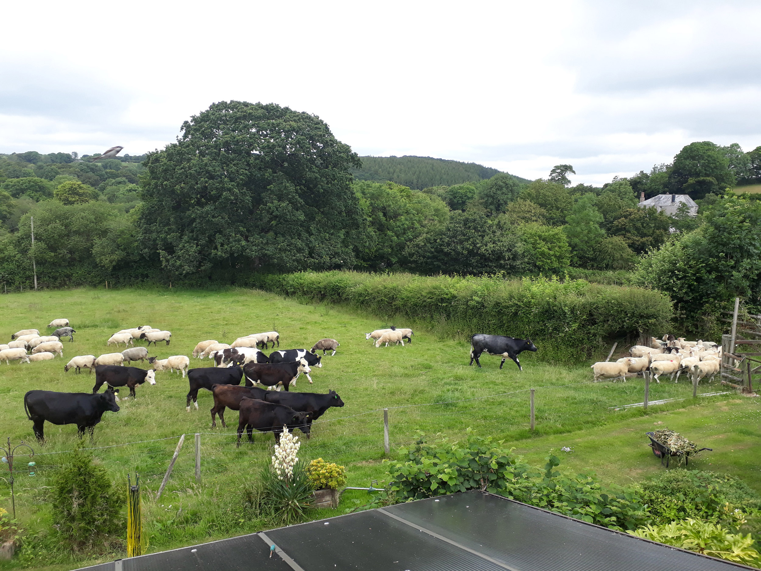 Property image 17 for SC1003123