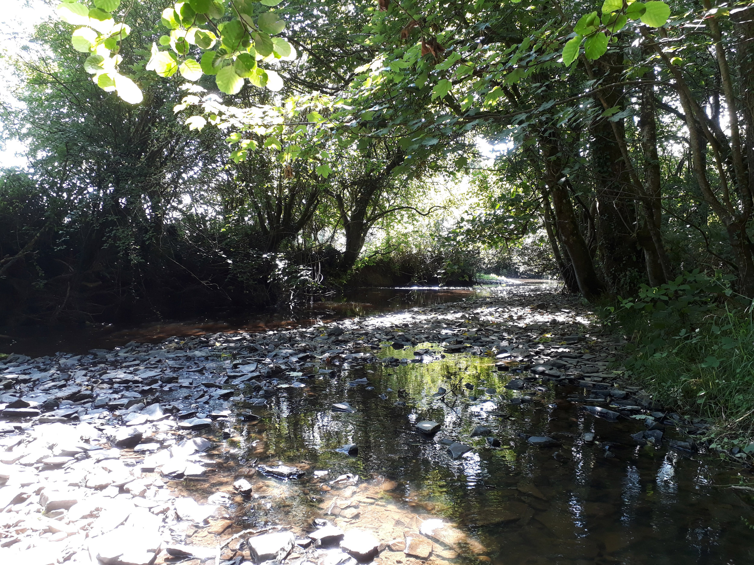 Property image 19 for SC1003123