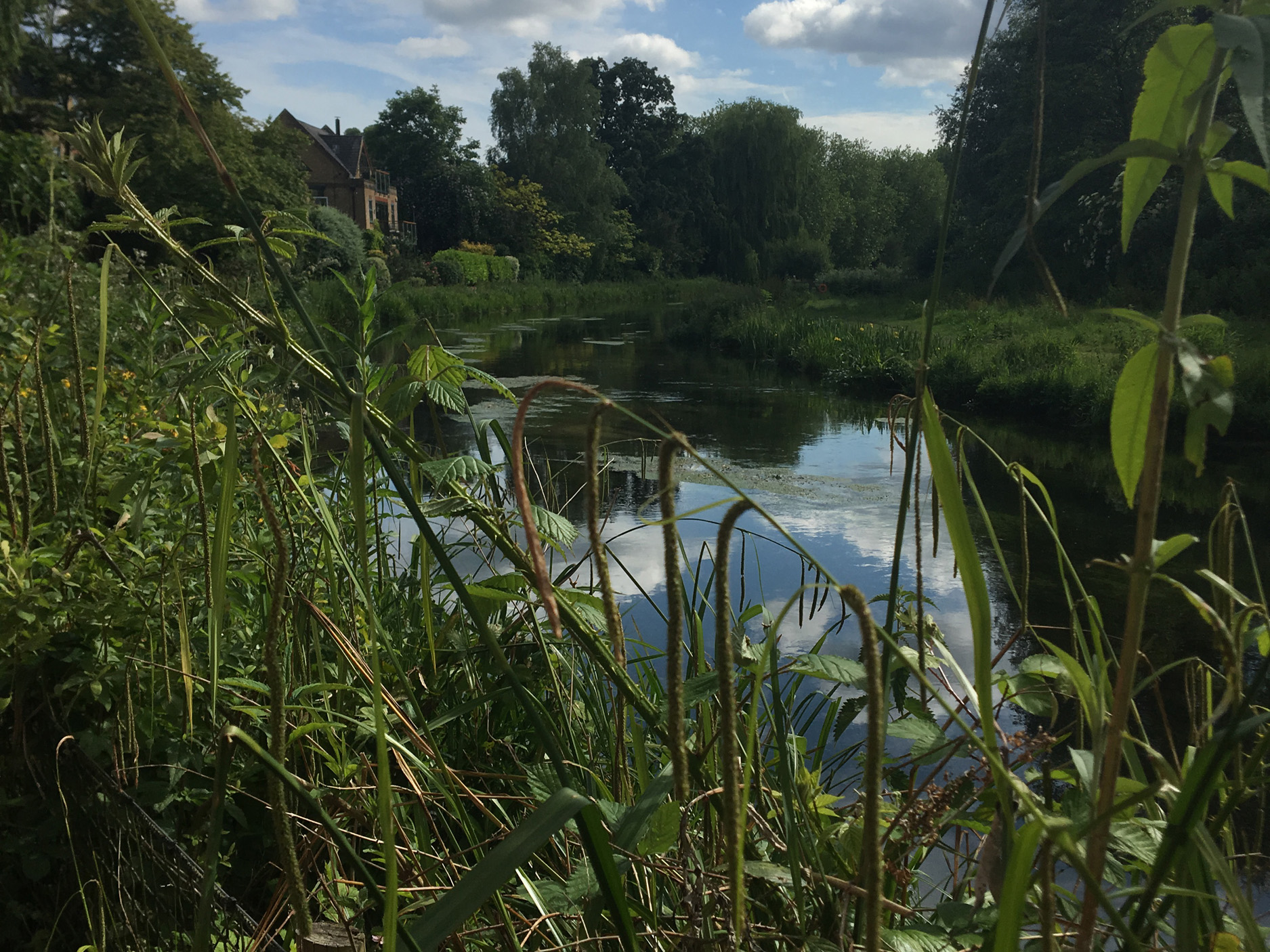 Property image 15 for SC1012228