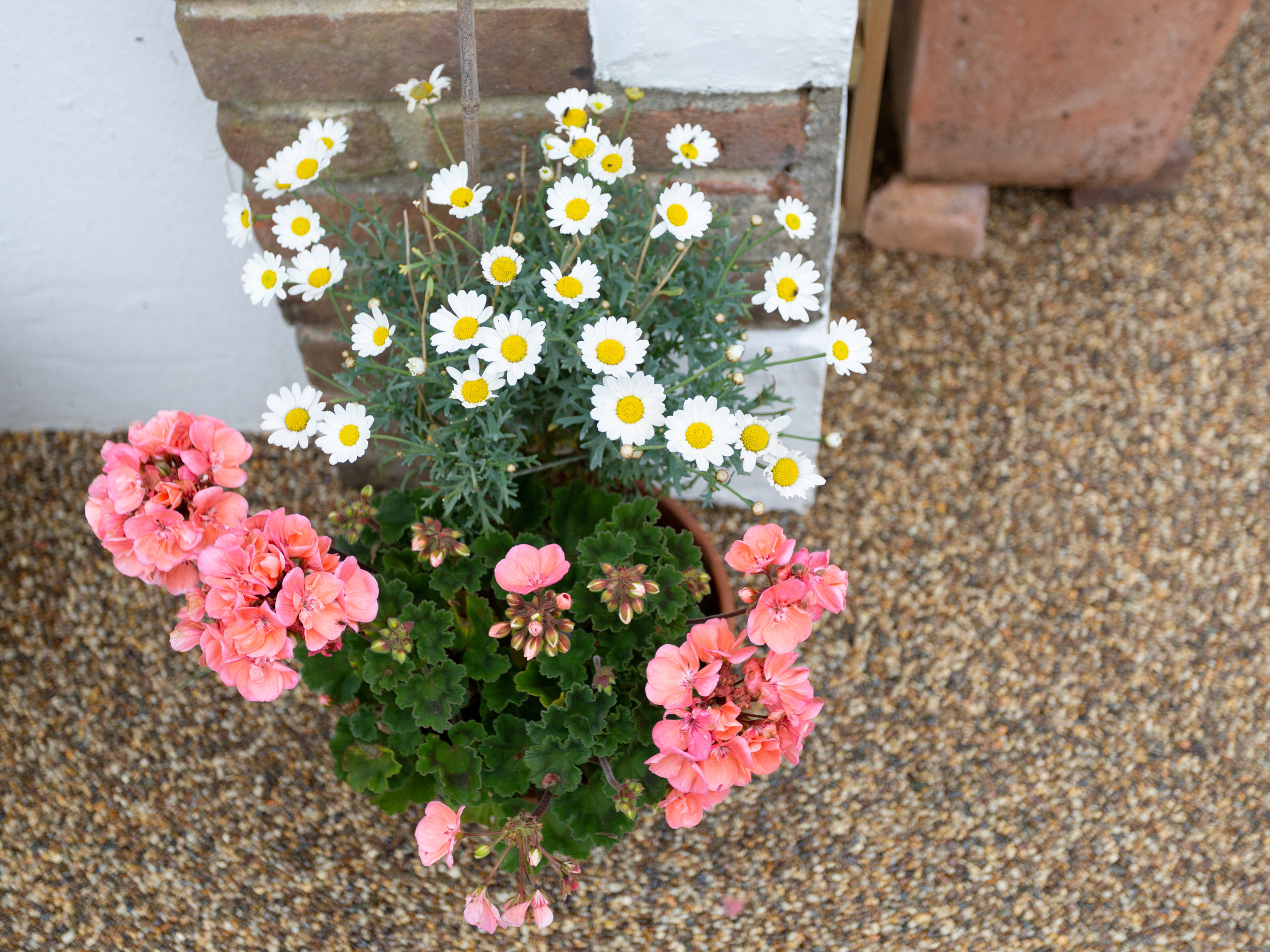 Property image 16 for SC1017554