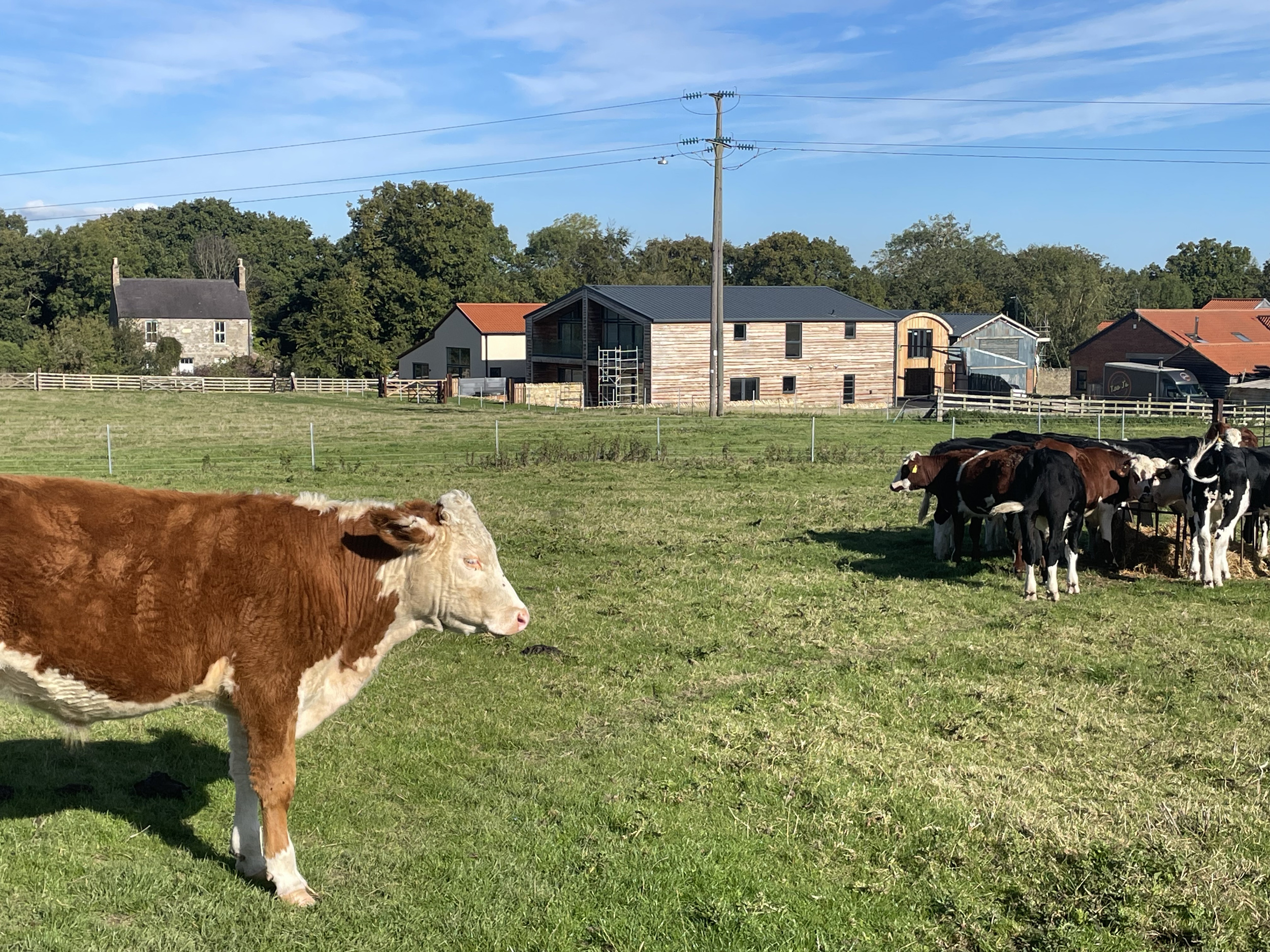 Property image 18 for SC1021833