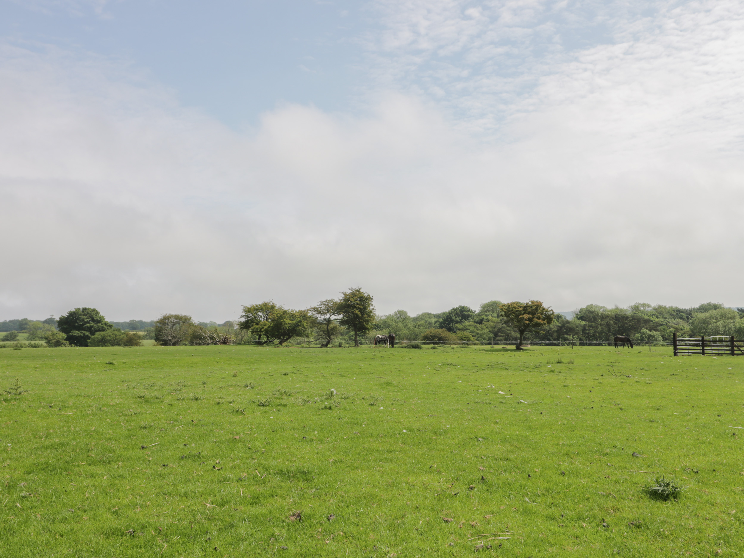 Property image 20 for SC1034719