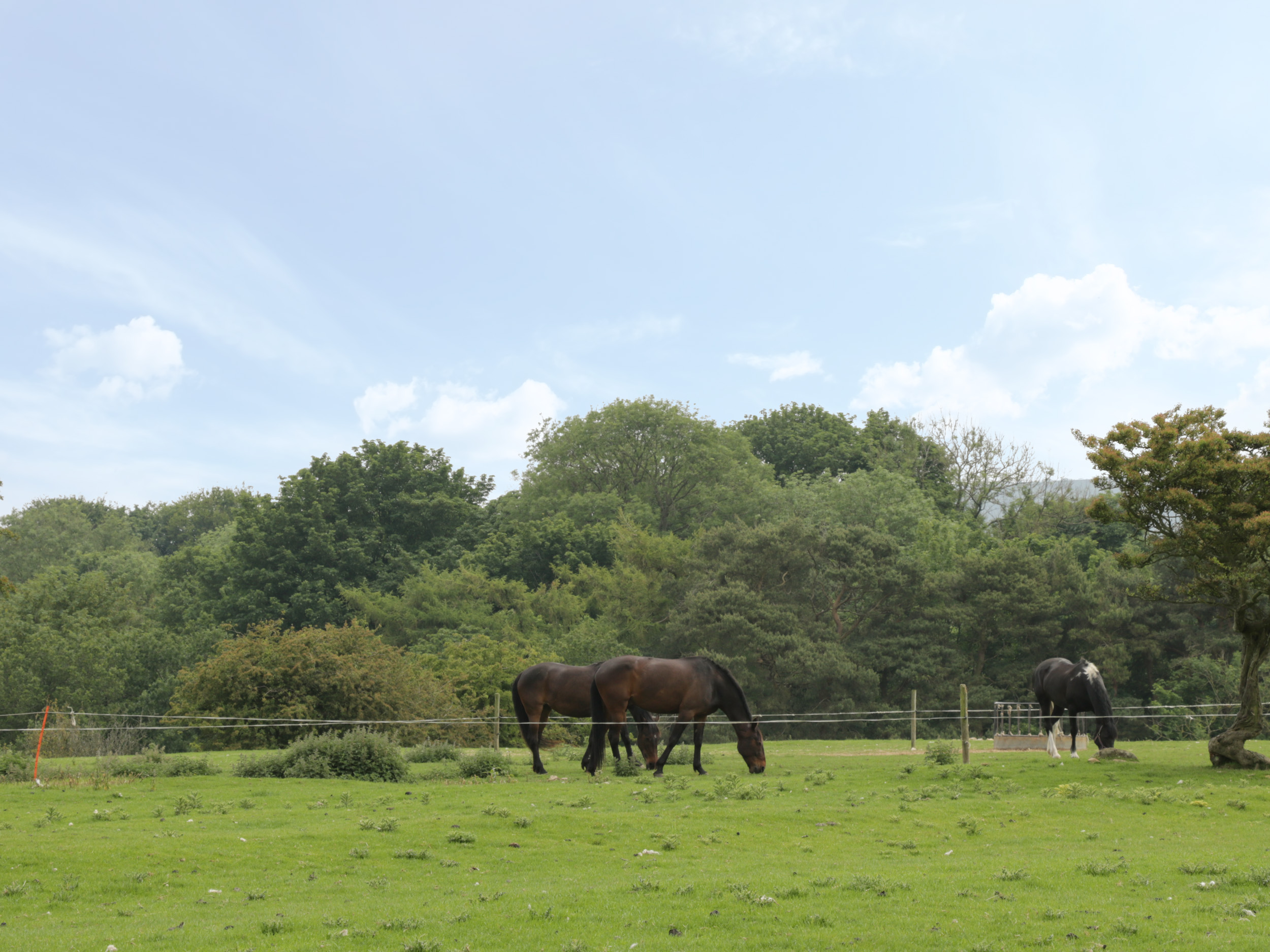 Property image 17 for SC1034719