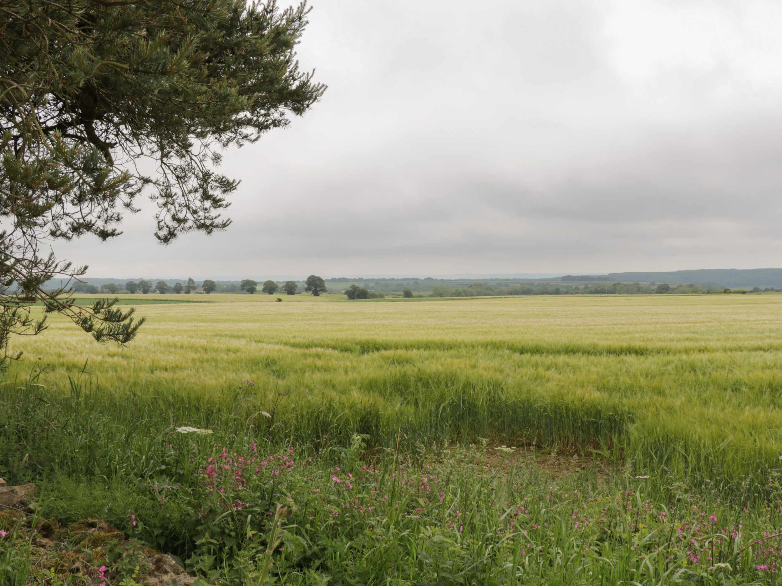 Property image 18 for SC1034719