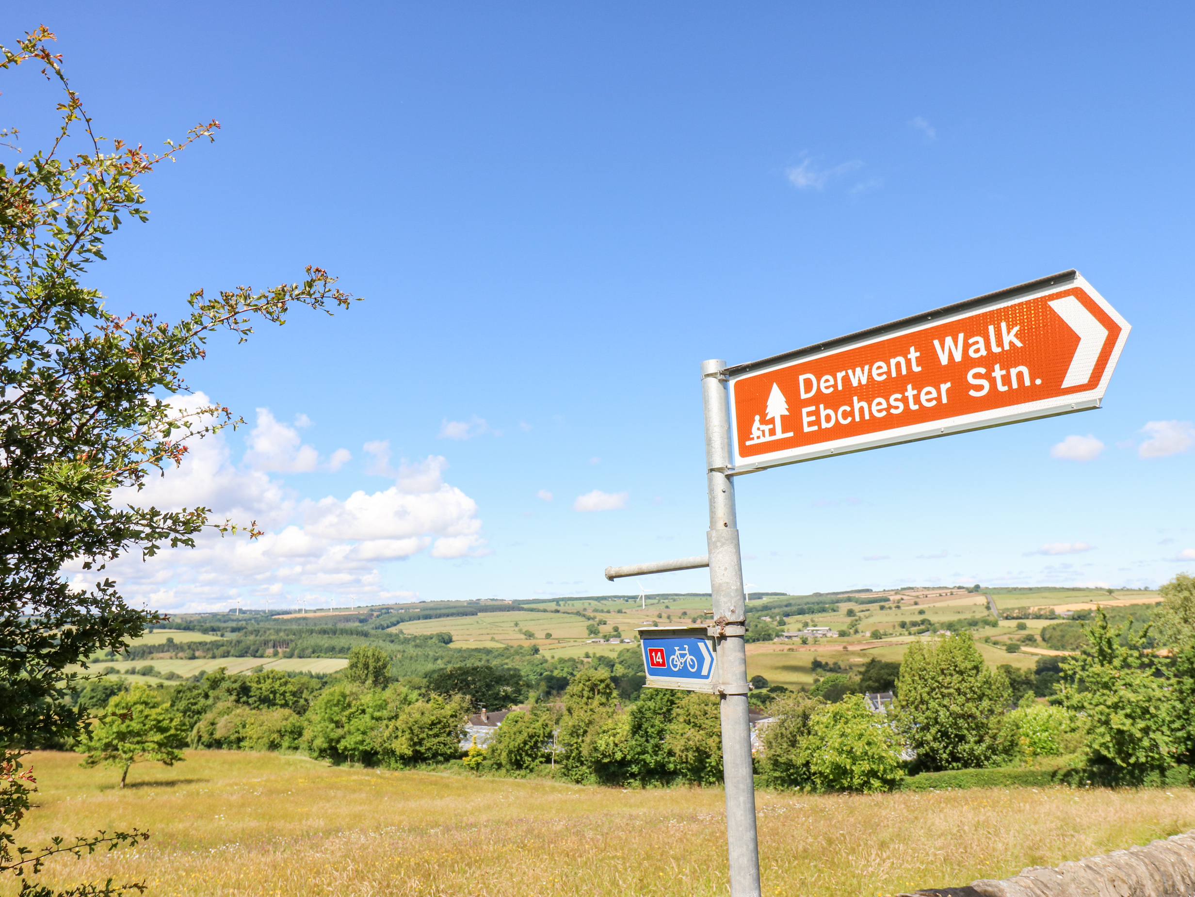 Property image 25 for SC1042303