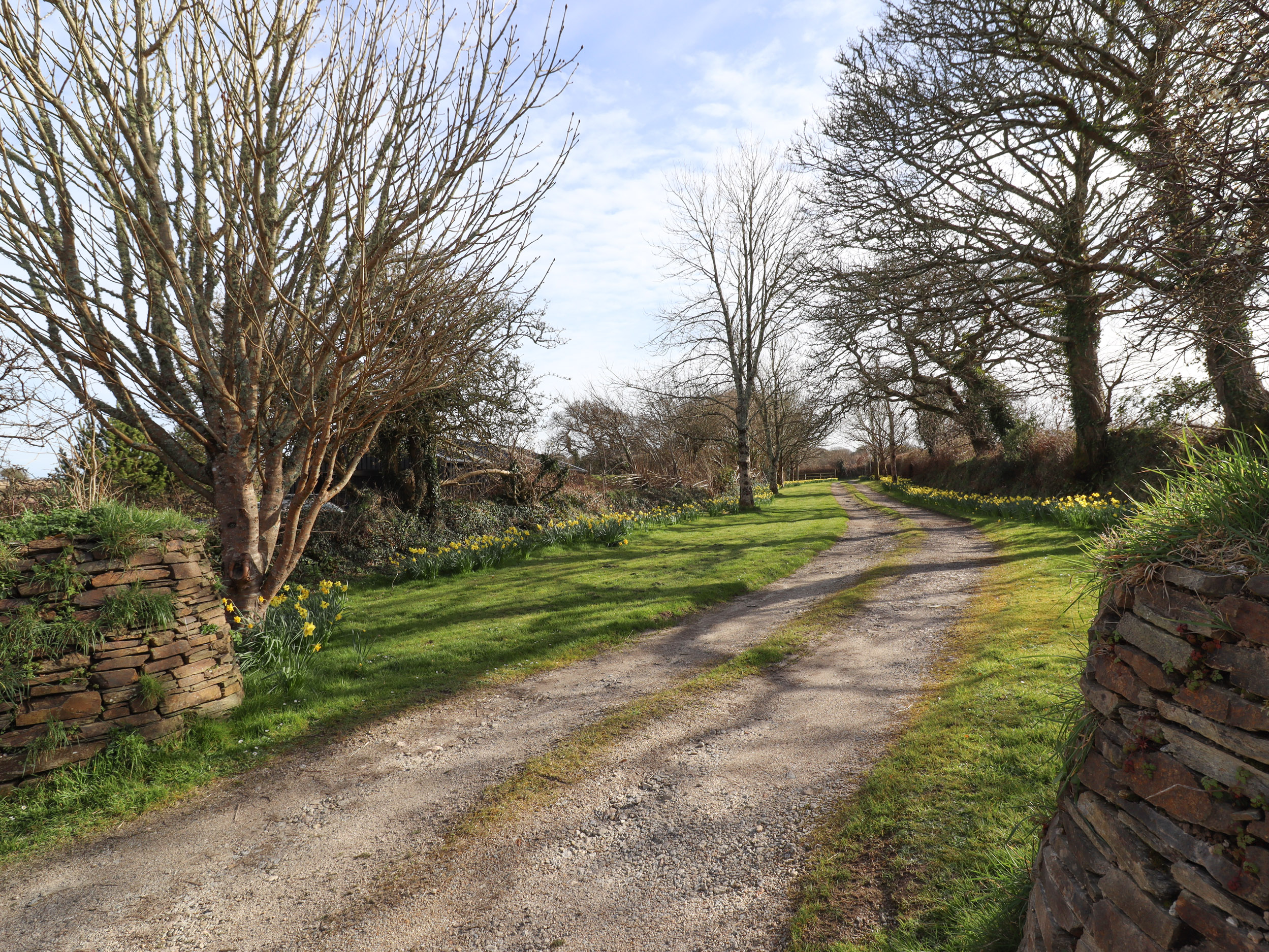 Property image 24 for SC1046100