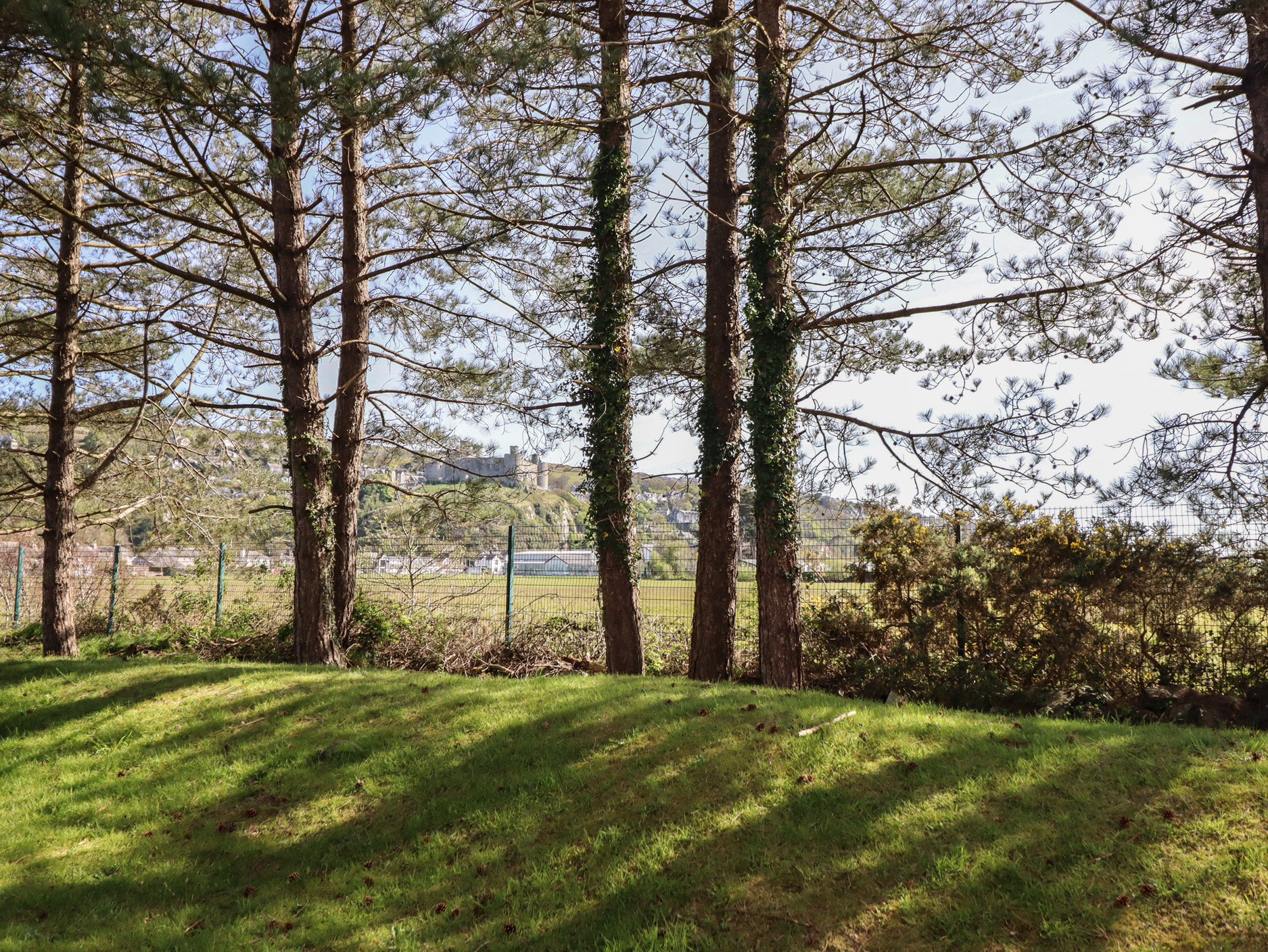 Property image 29 for SC1054156
