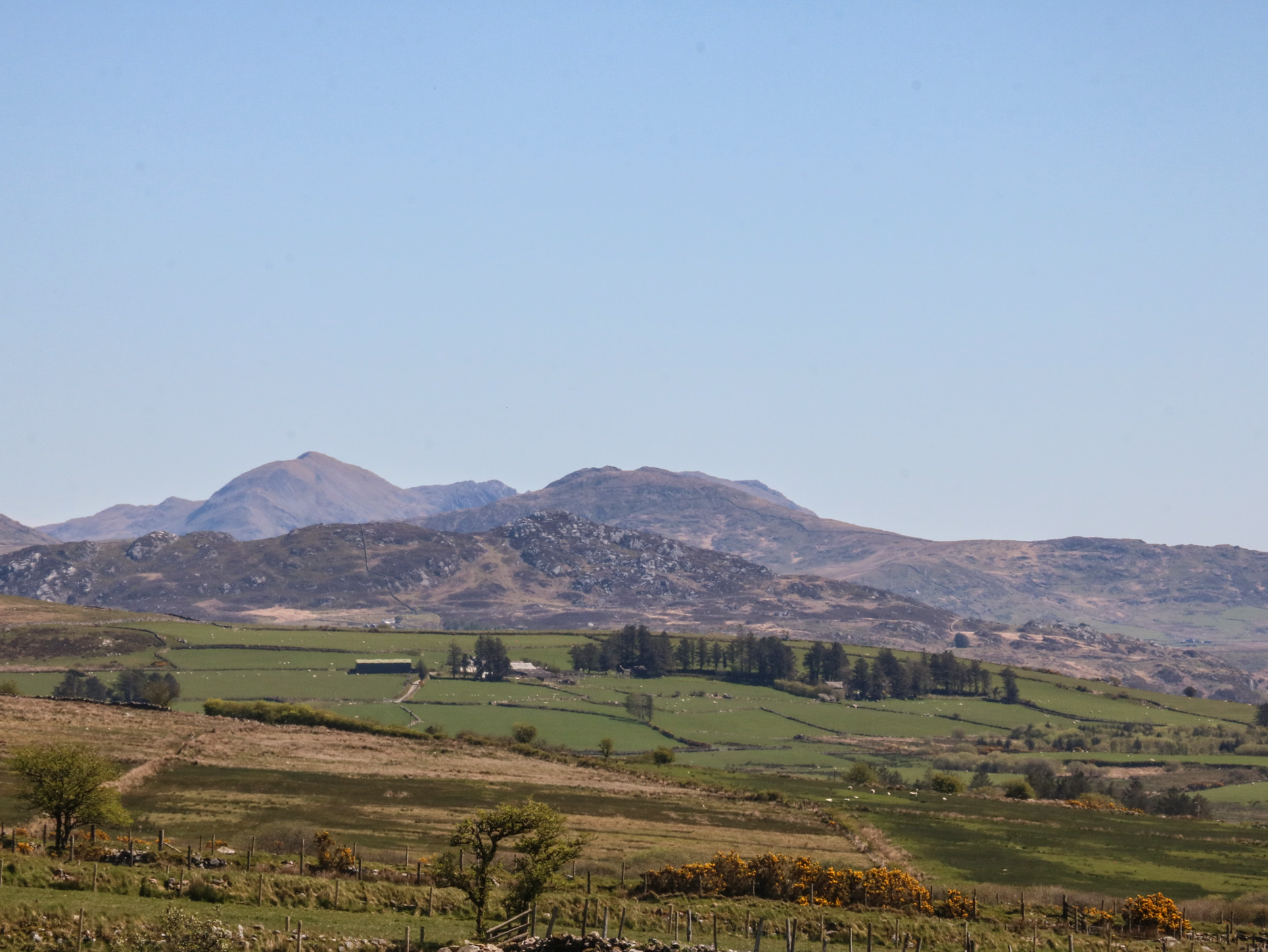 Property image 22 for SC1054834