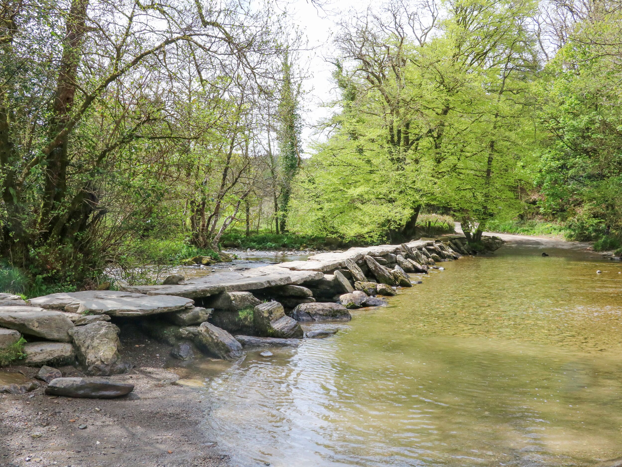 Property image 24 for SC1063967