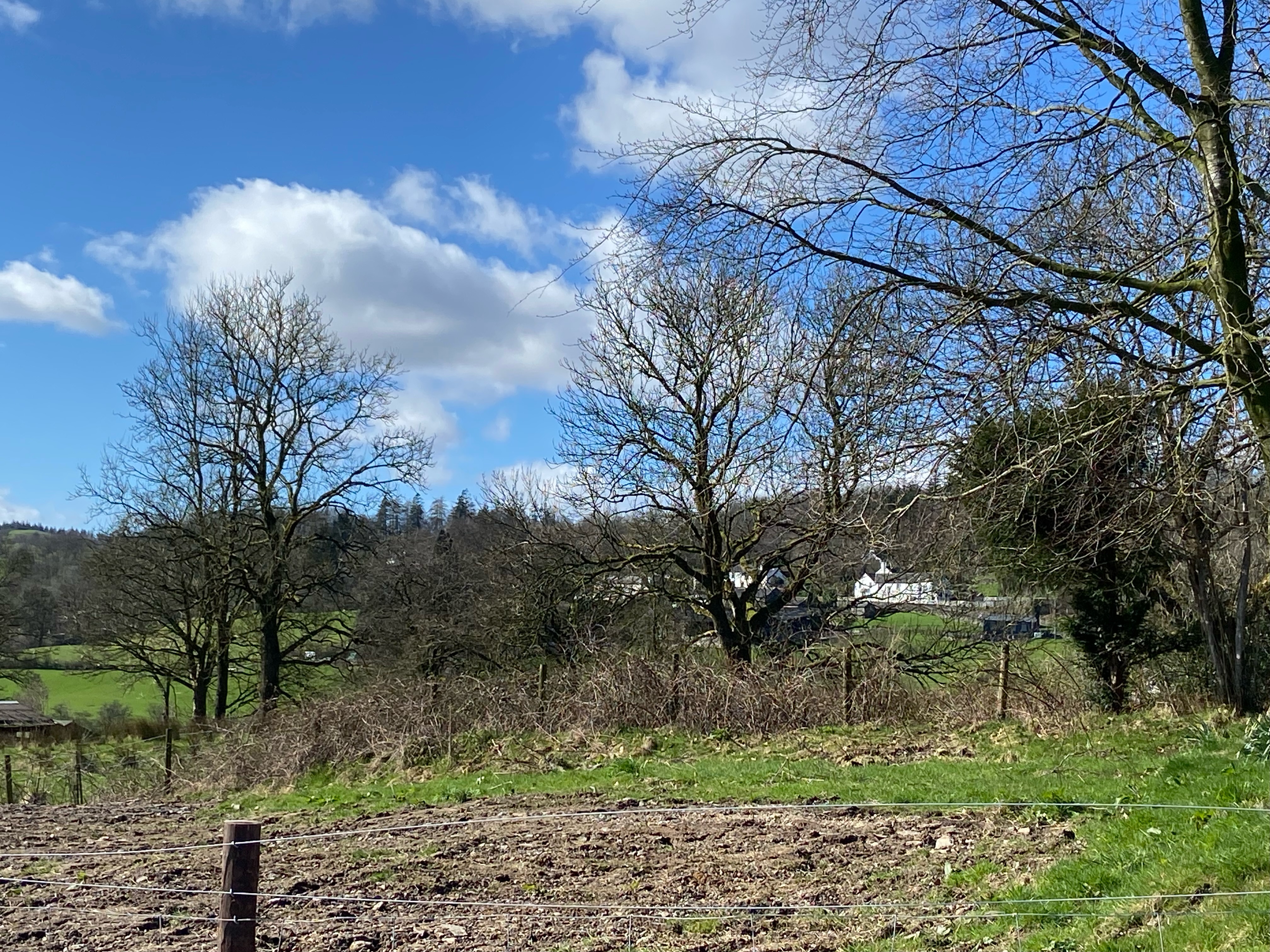 Property image 23 for SC1064484