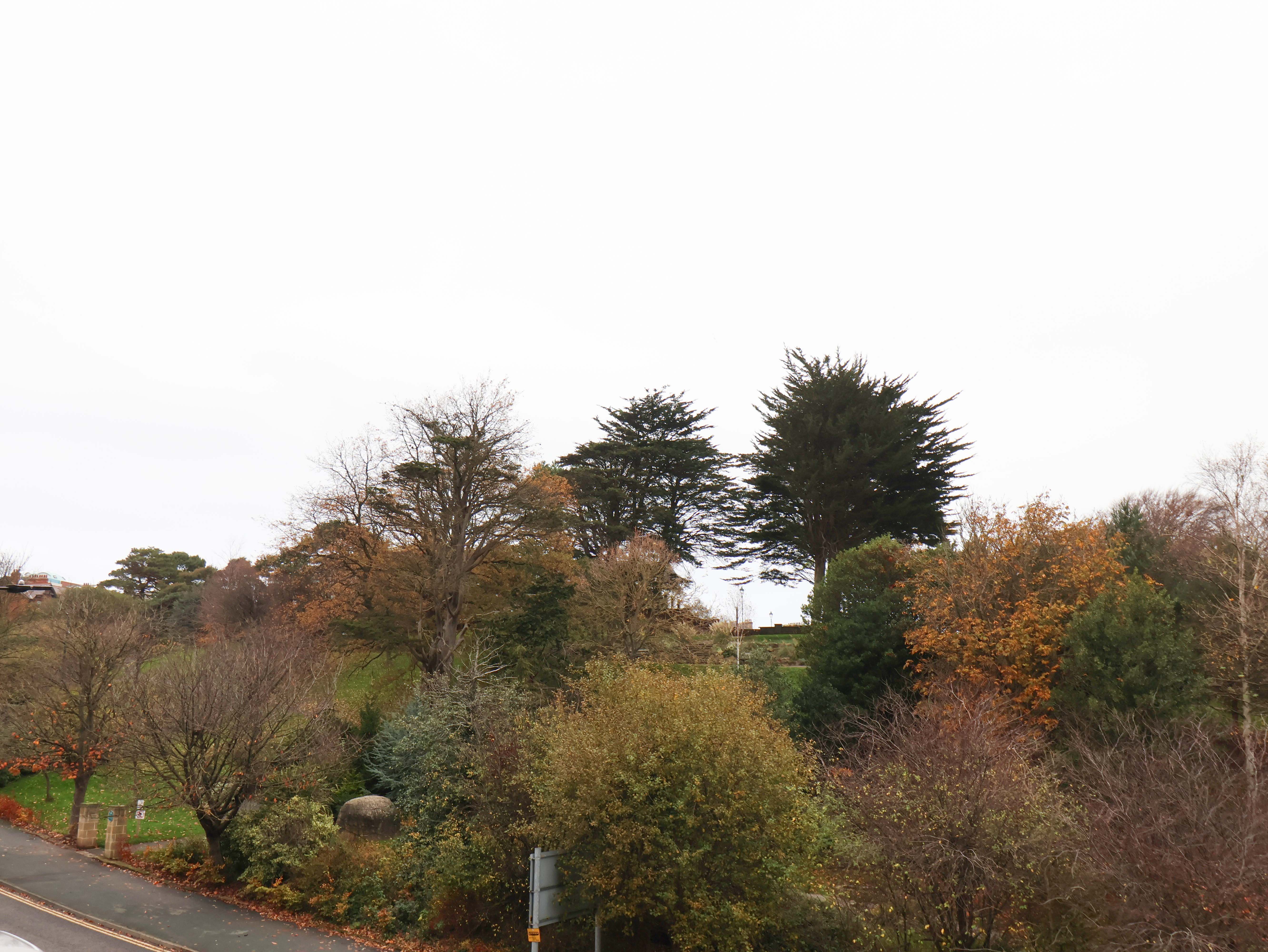 Property image 25 for SC1067049