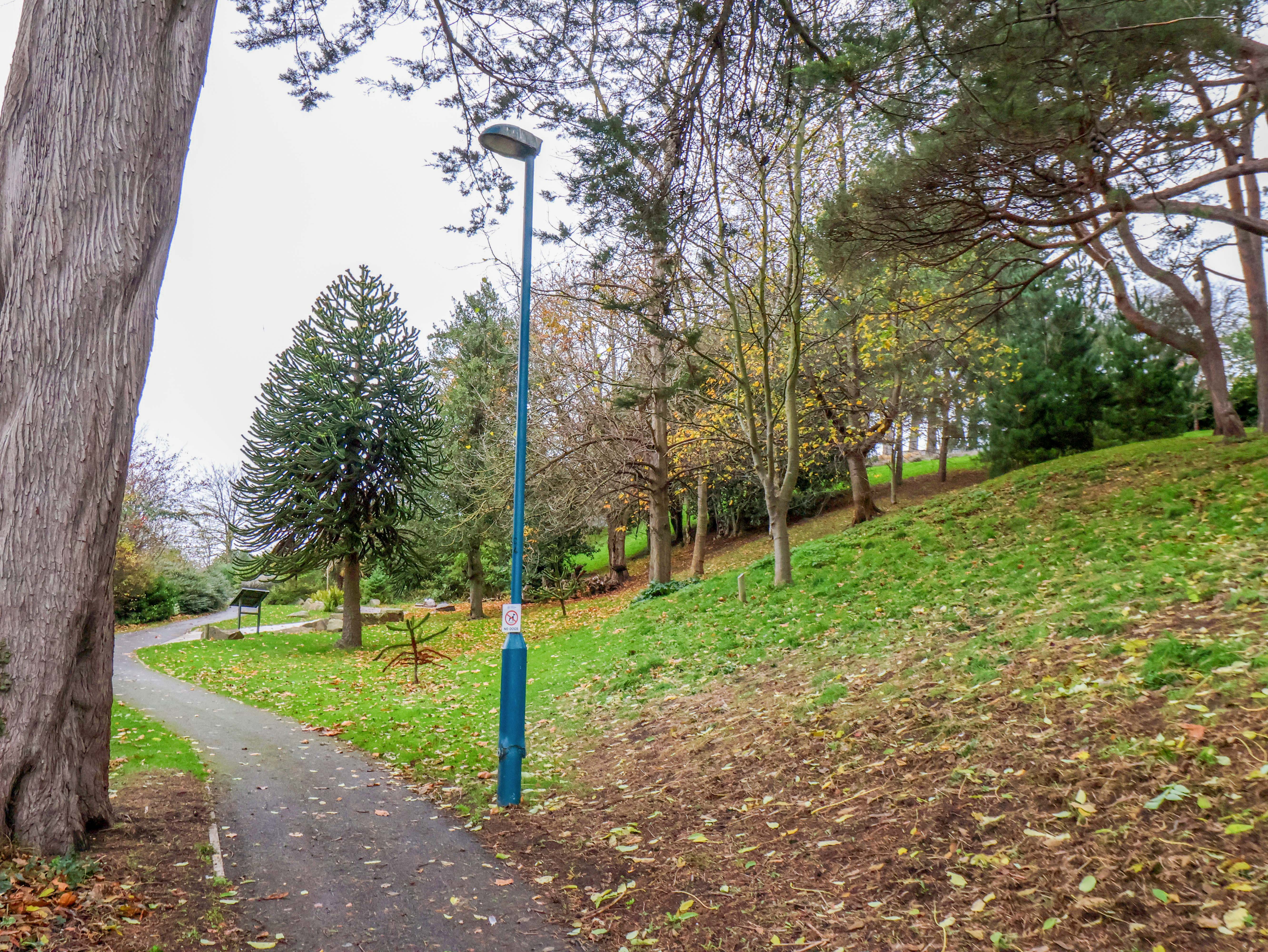 Property image 26 for SC1067049
