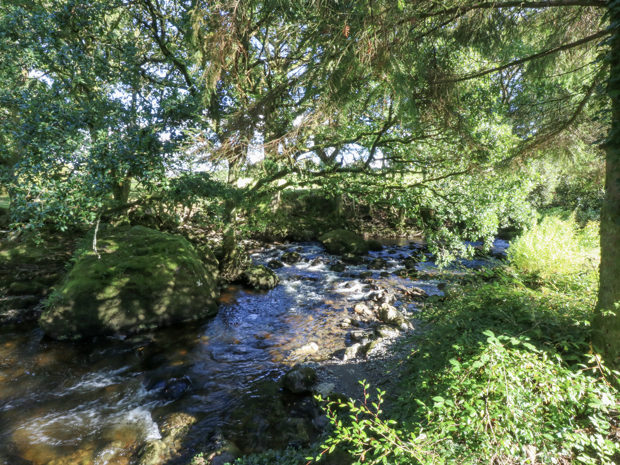 Property image 29 for SC1092457