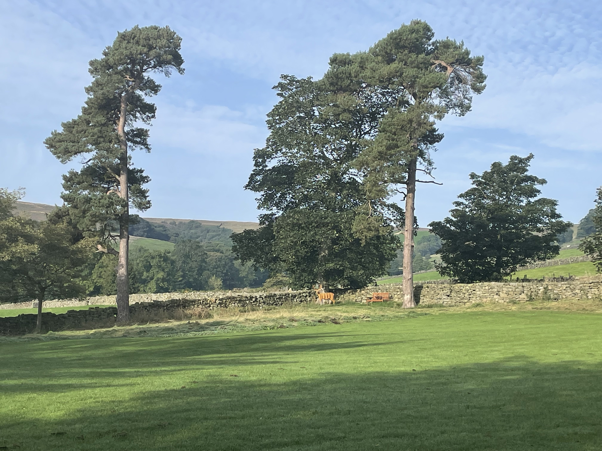 Property image 32 for SC1092578