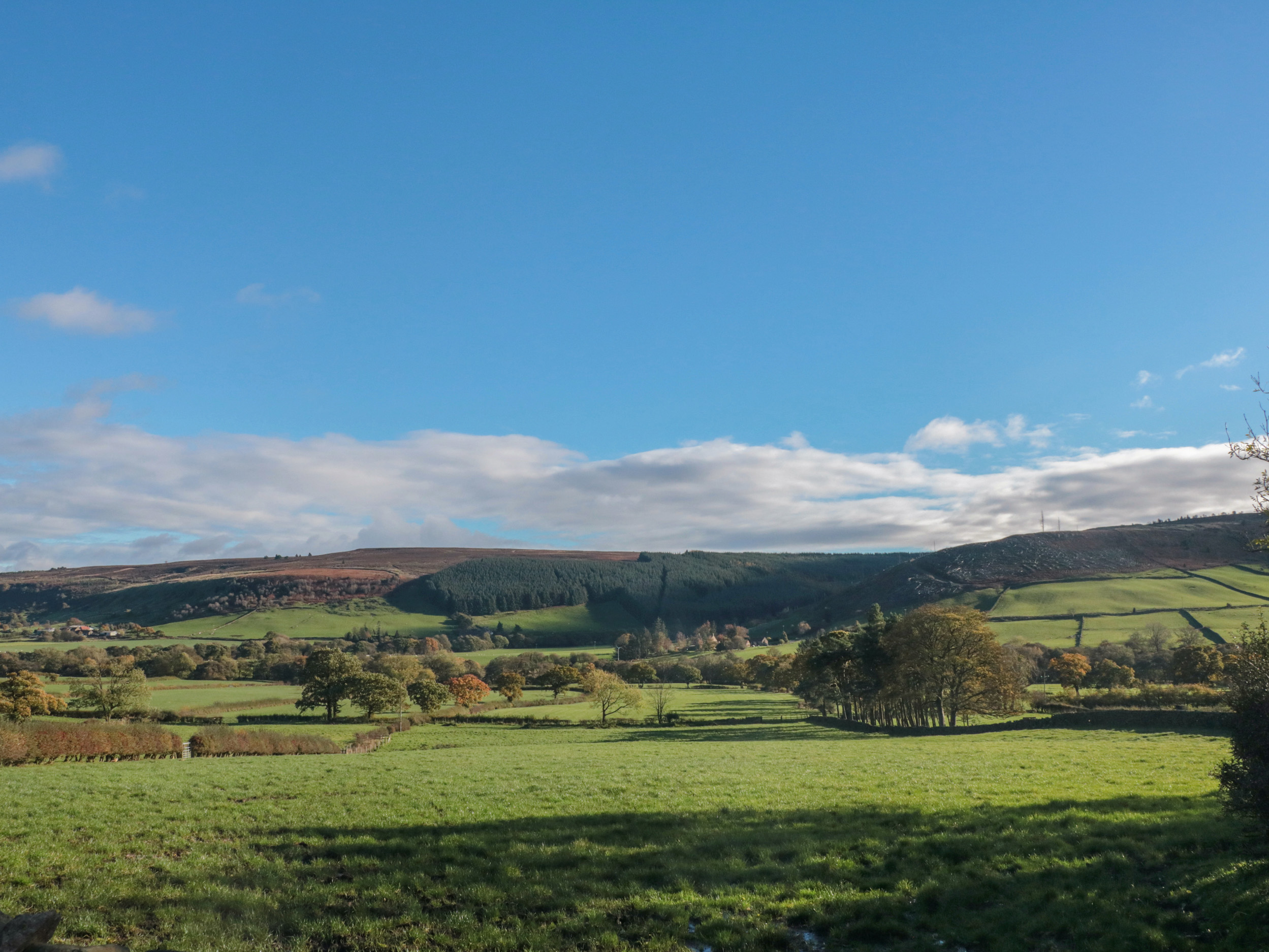 Property image 27 for SC1092578