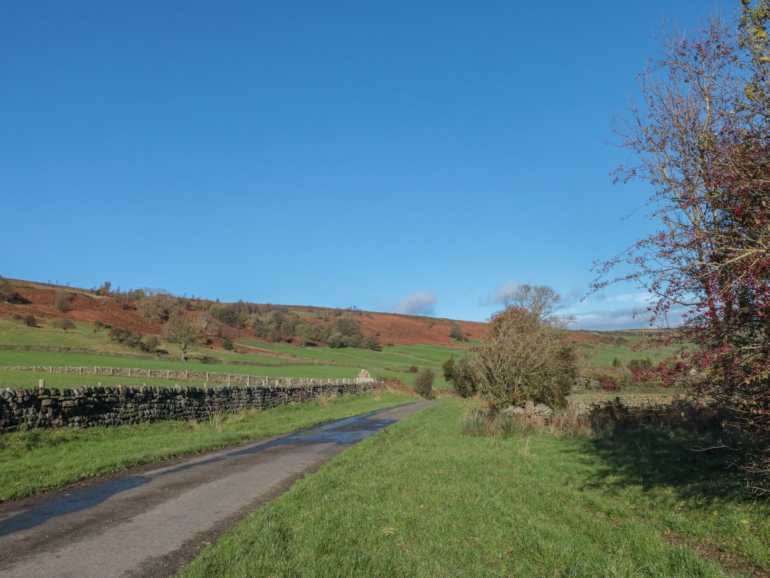 Property image 28 for SC1092578