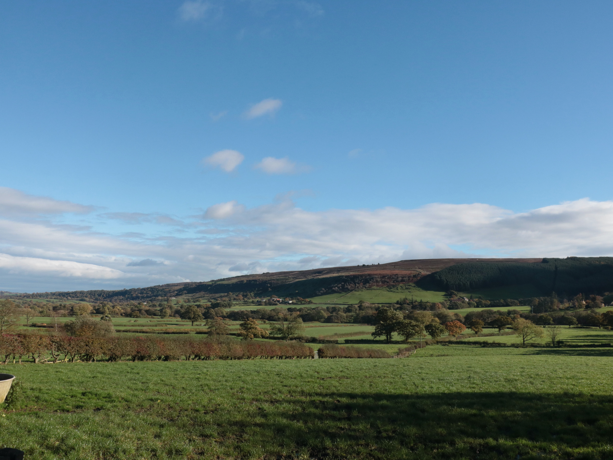 Property image 30 for SC1092578