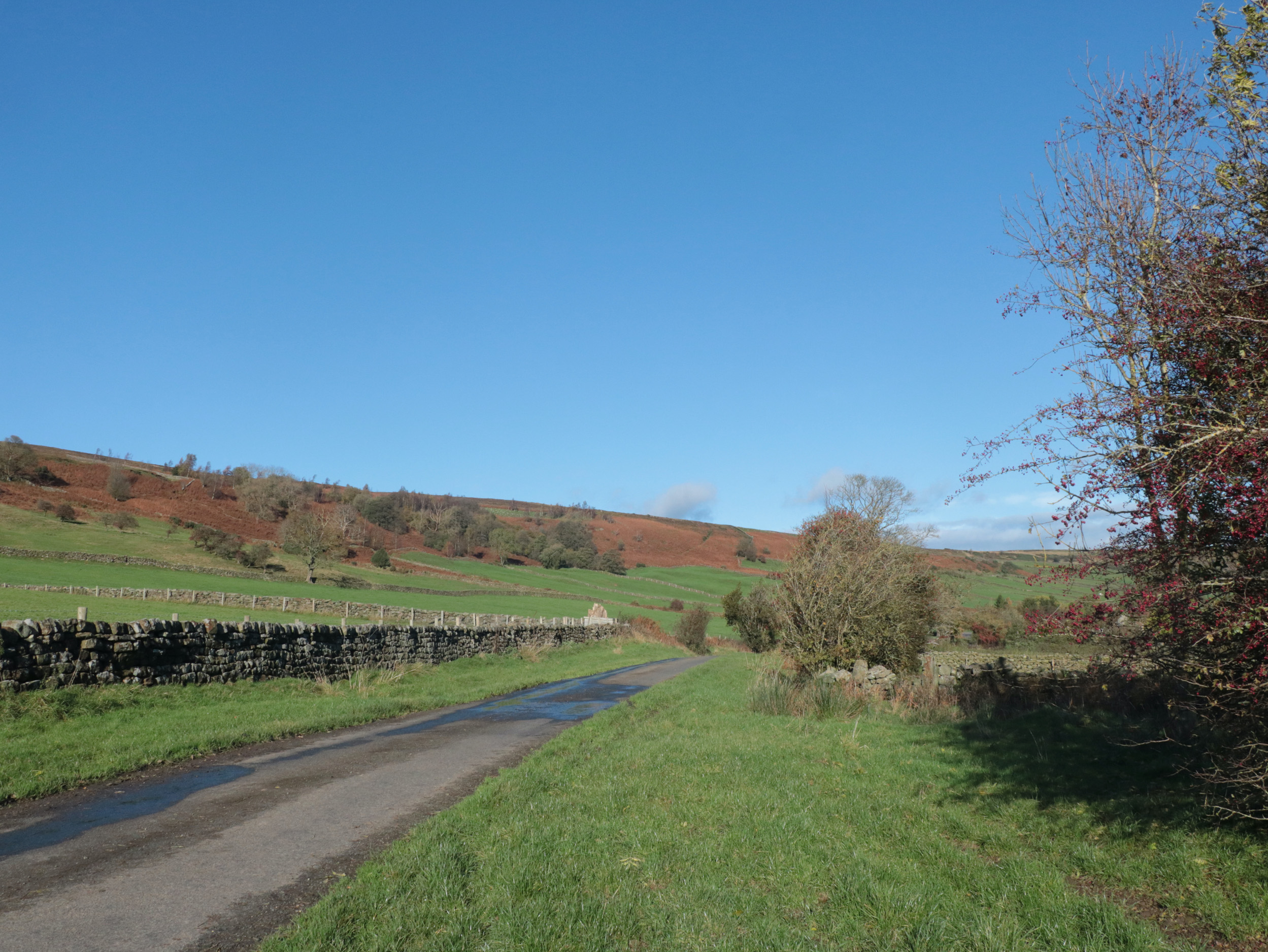 Property image 31 for SC1092578