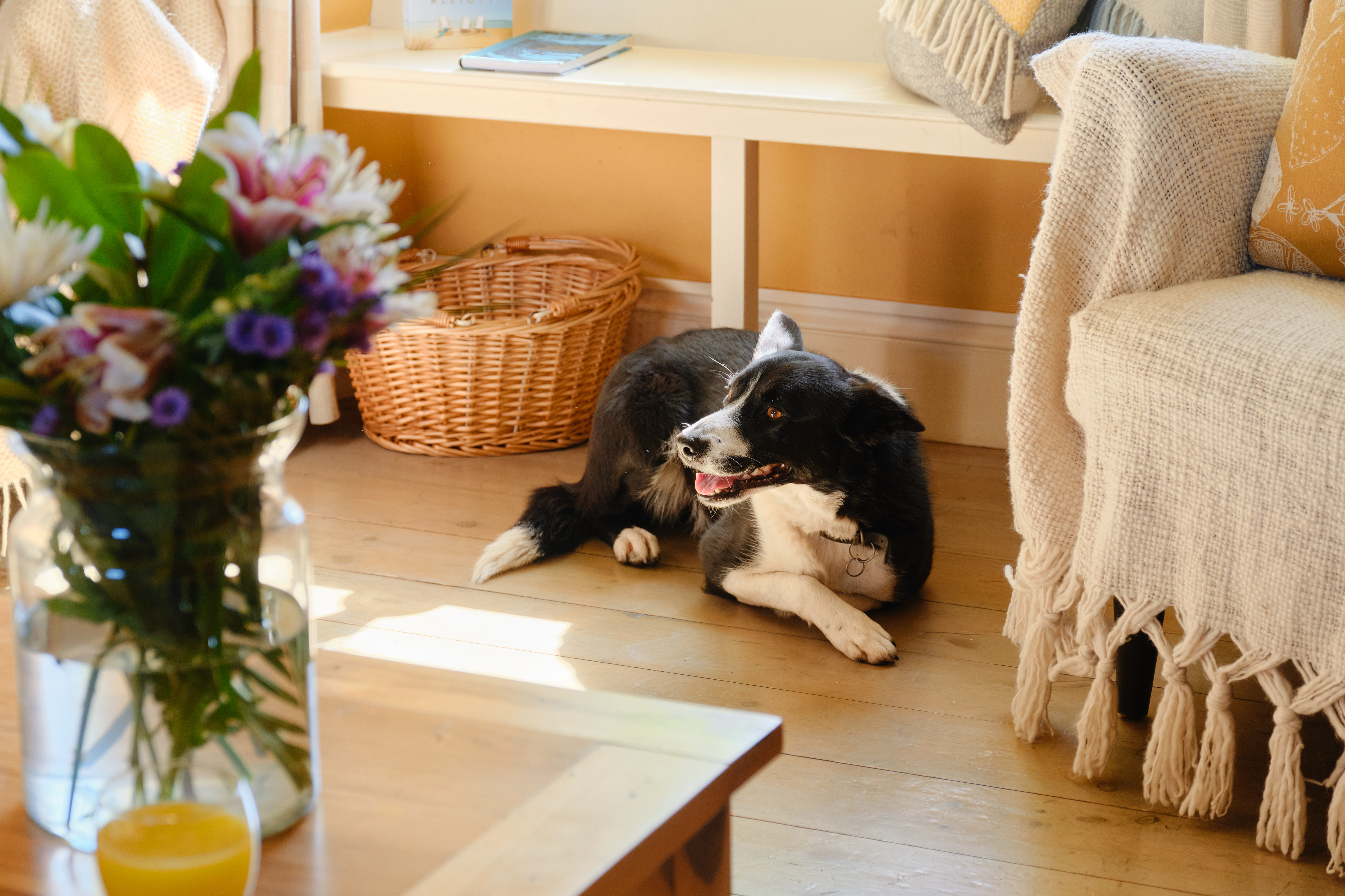 Property image 5 for SC1094155