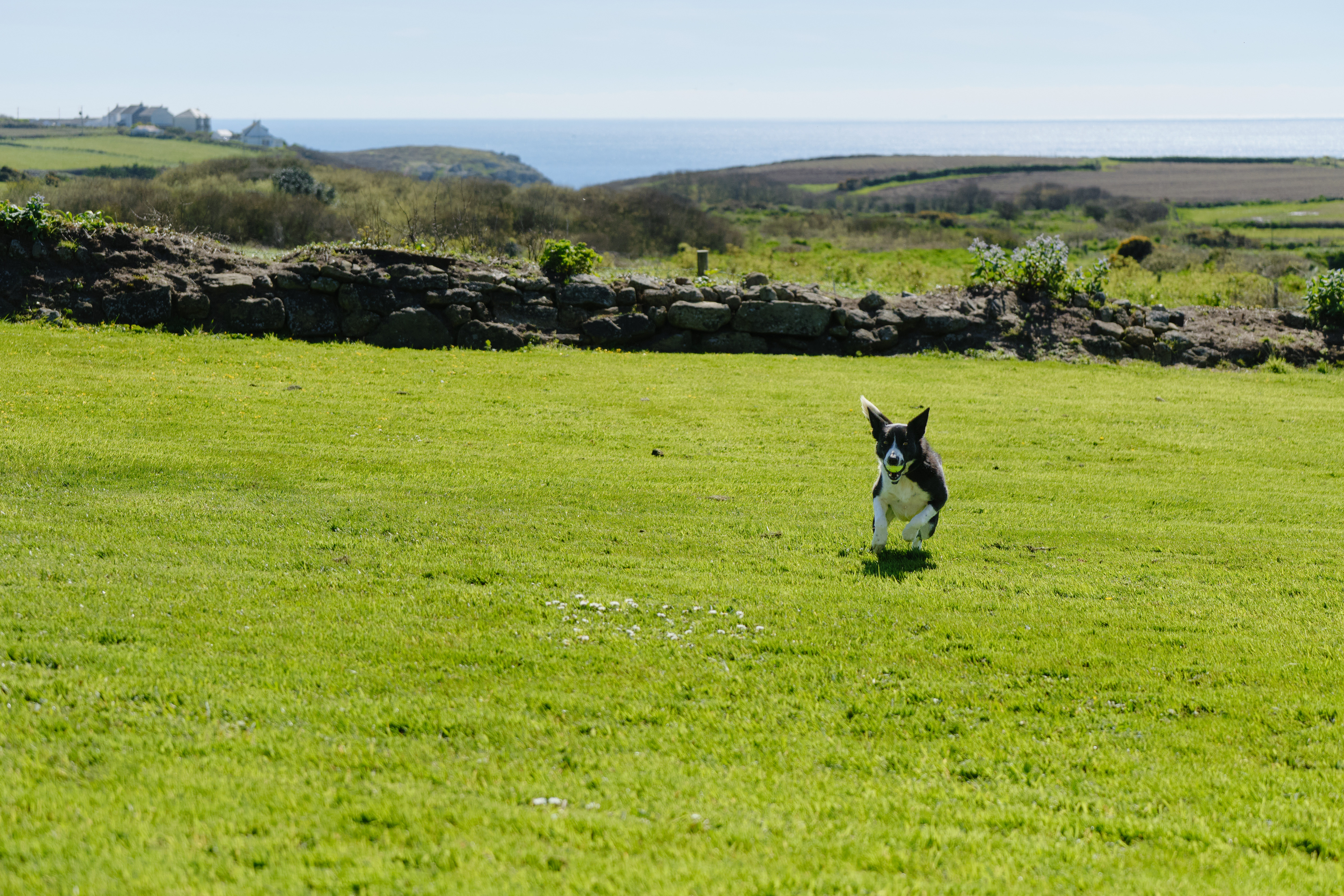 Property image 27 for SC1094155