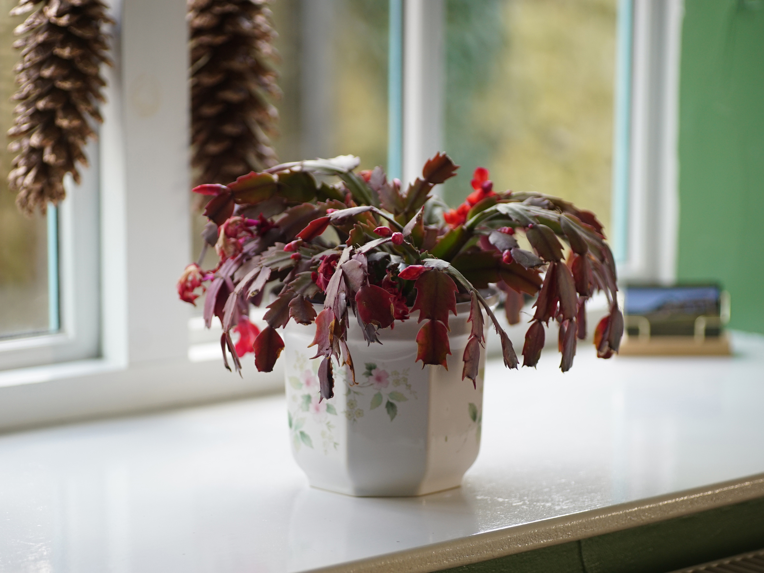 Property image 6 for SC1102966