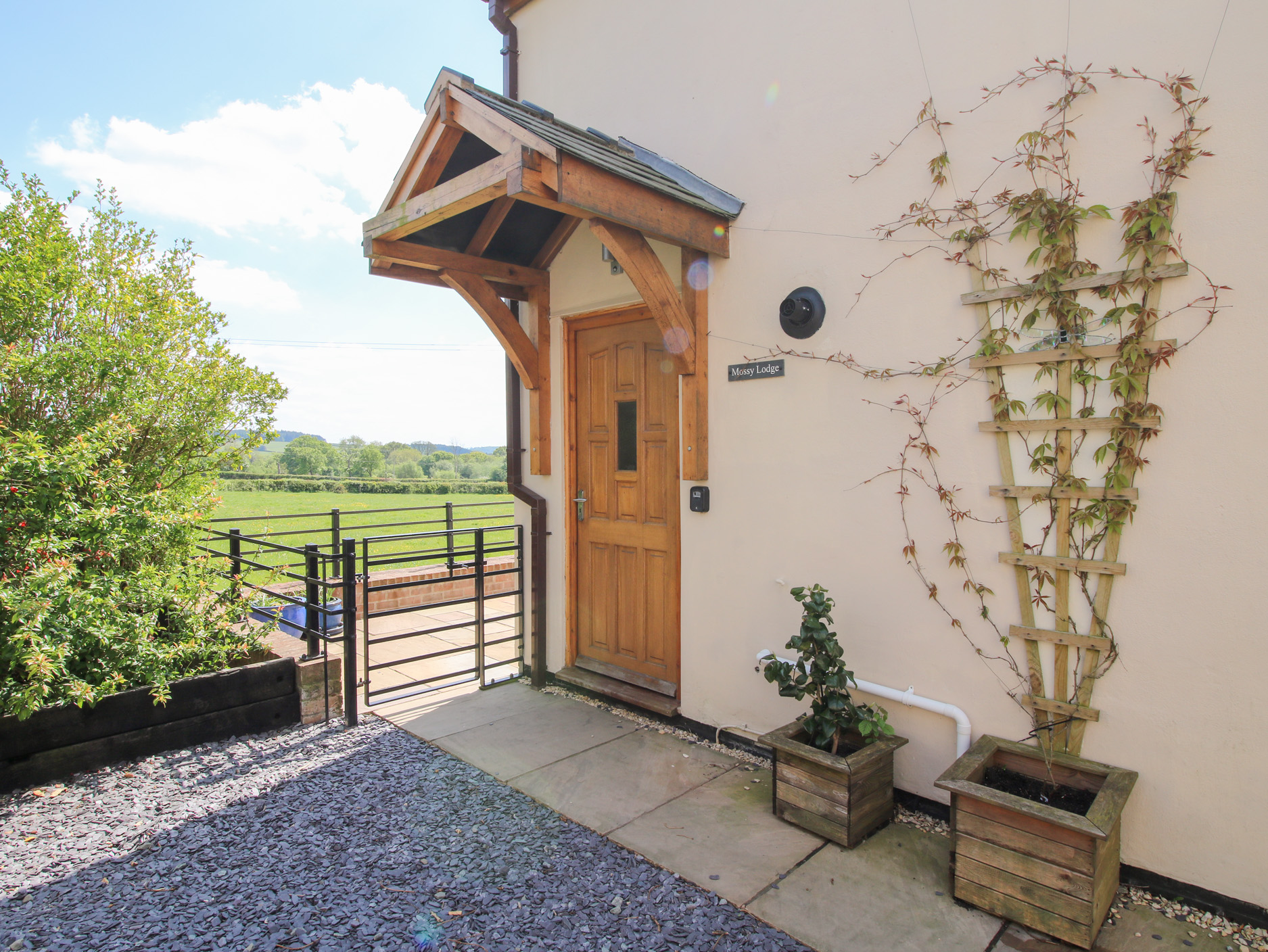 Mossy Lodge