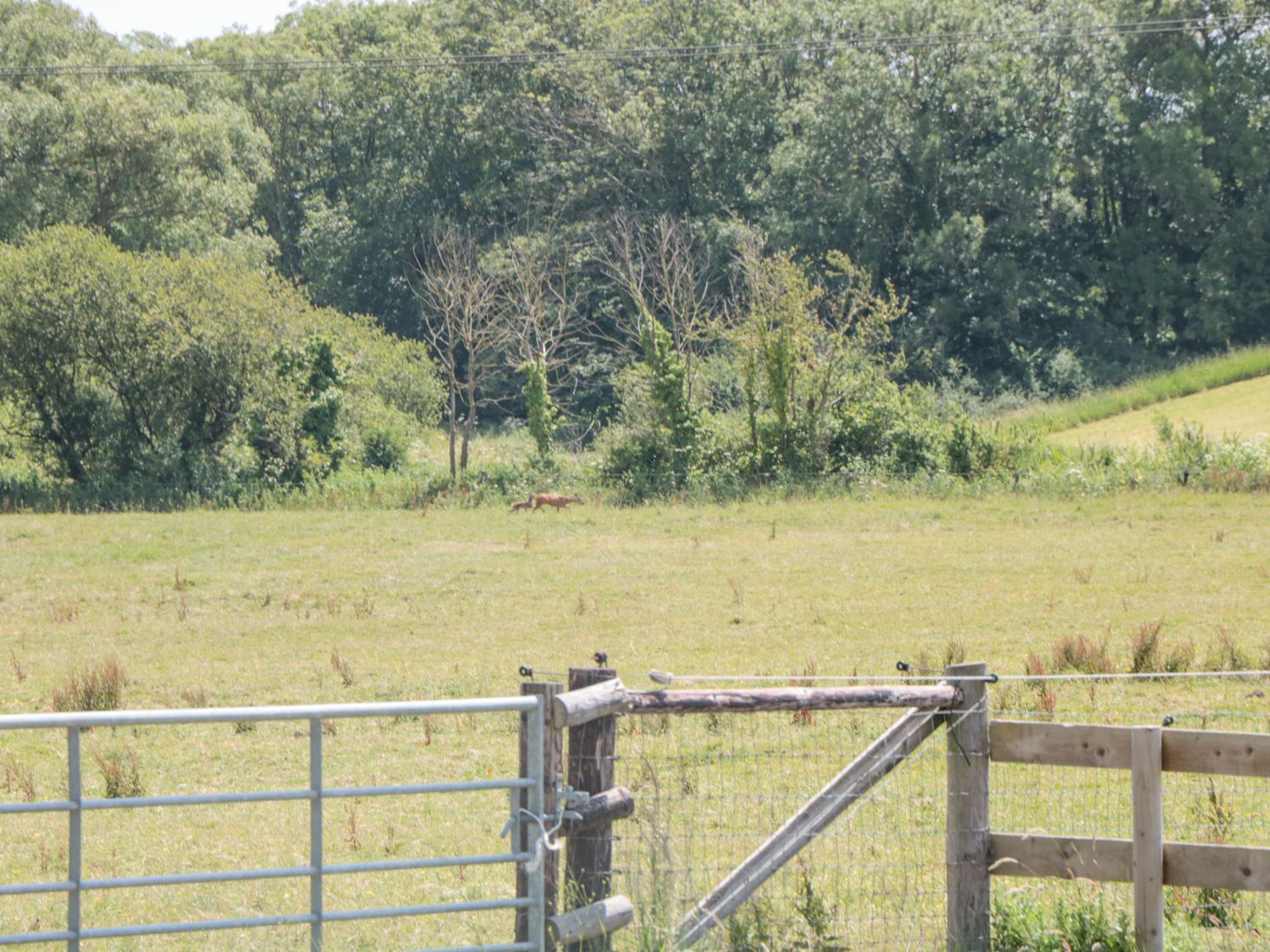 Property image 24 for SC1105442