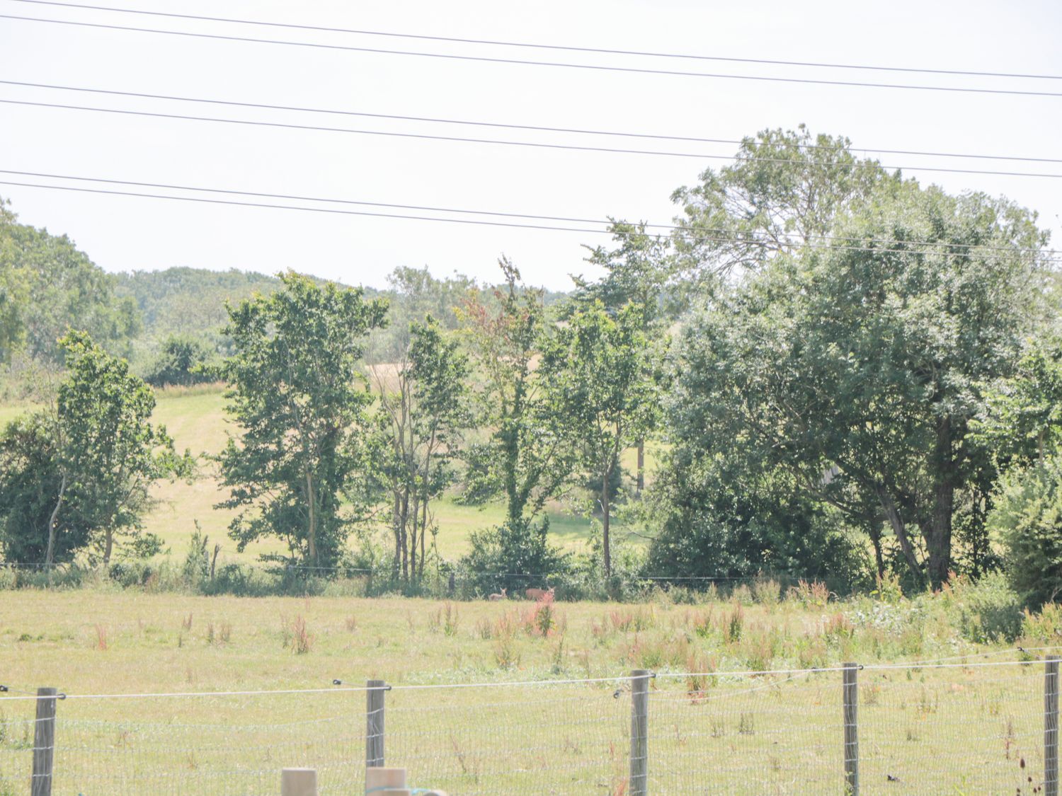 Property image 25 for SC1105442