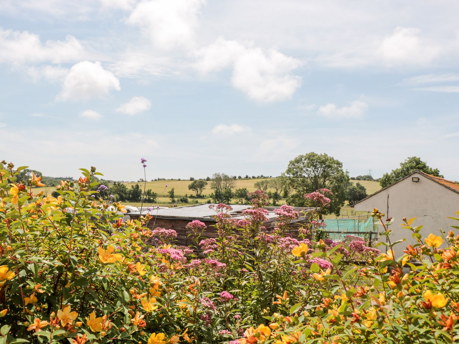 Property image 30 for SC1105451