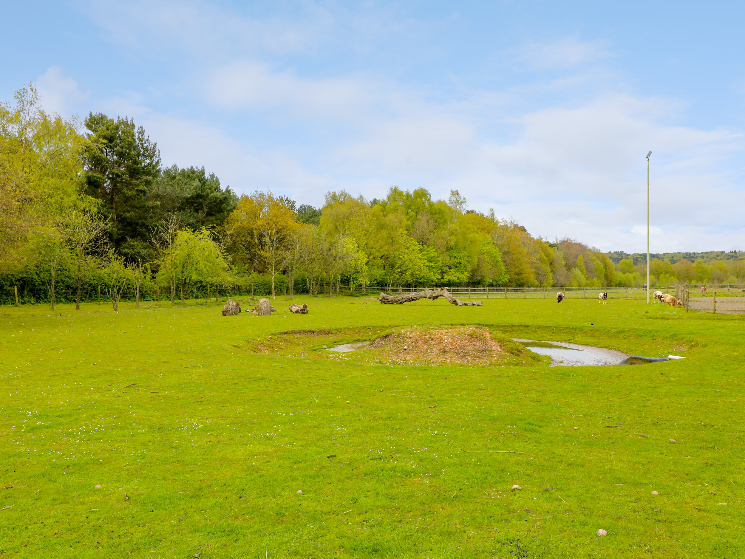 Property image 16 for SC1107762