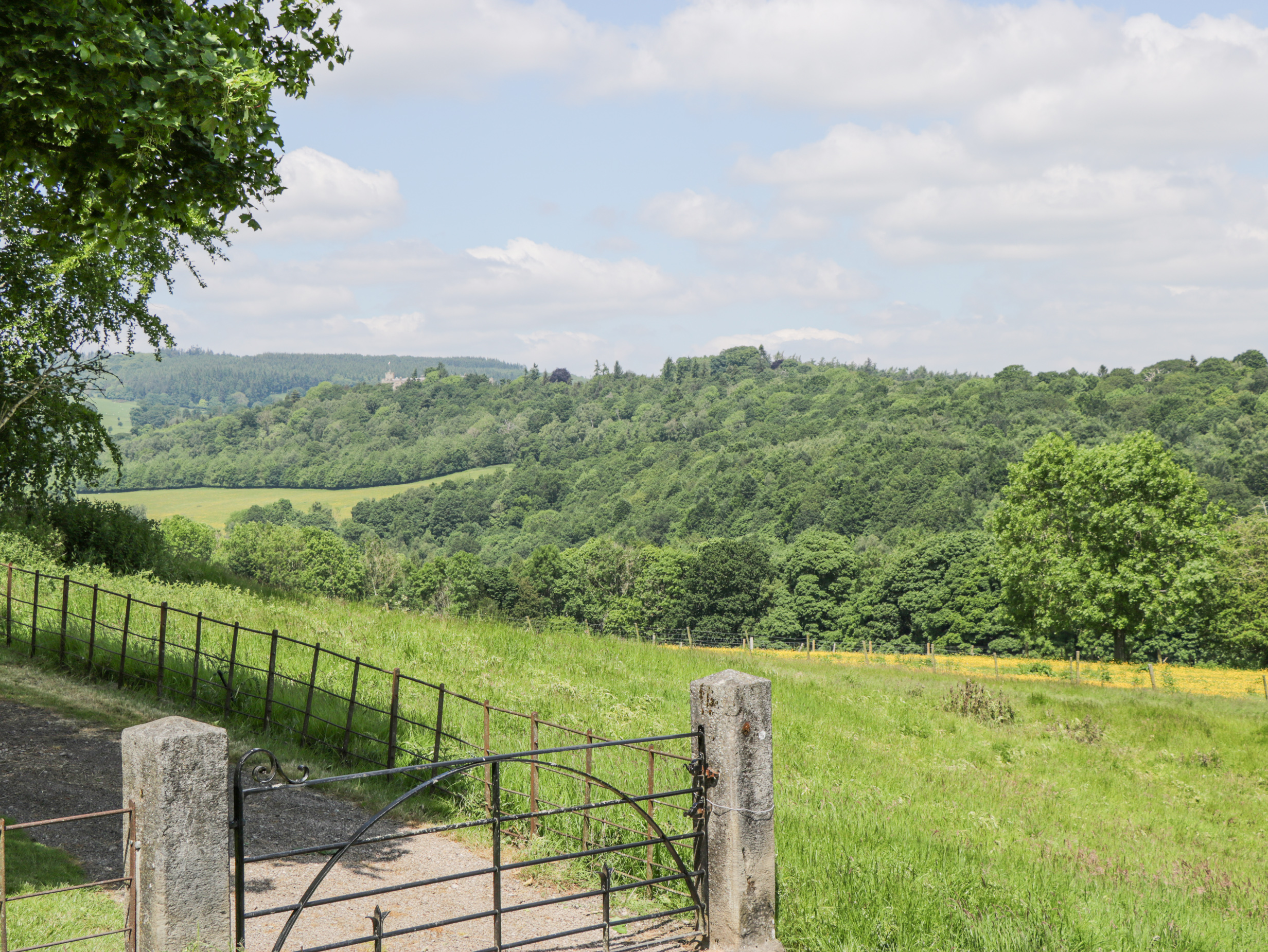 Property image 66 for SC1112629