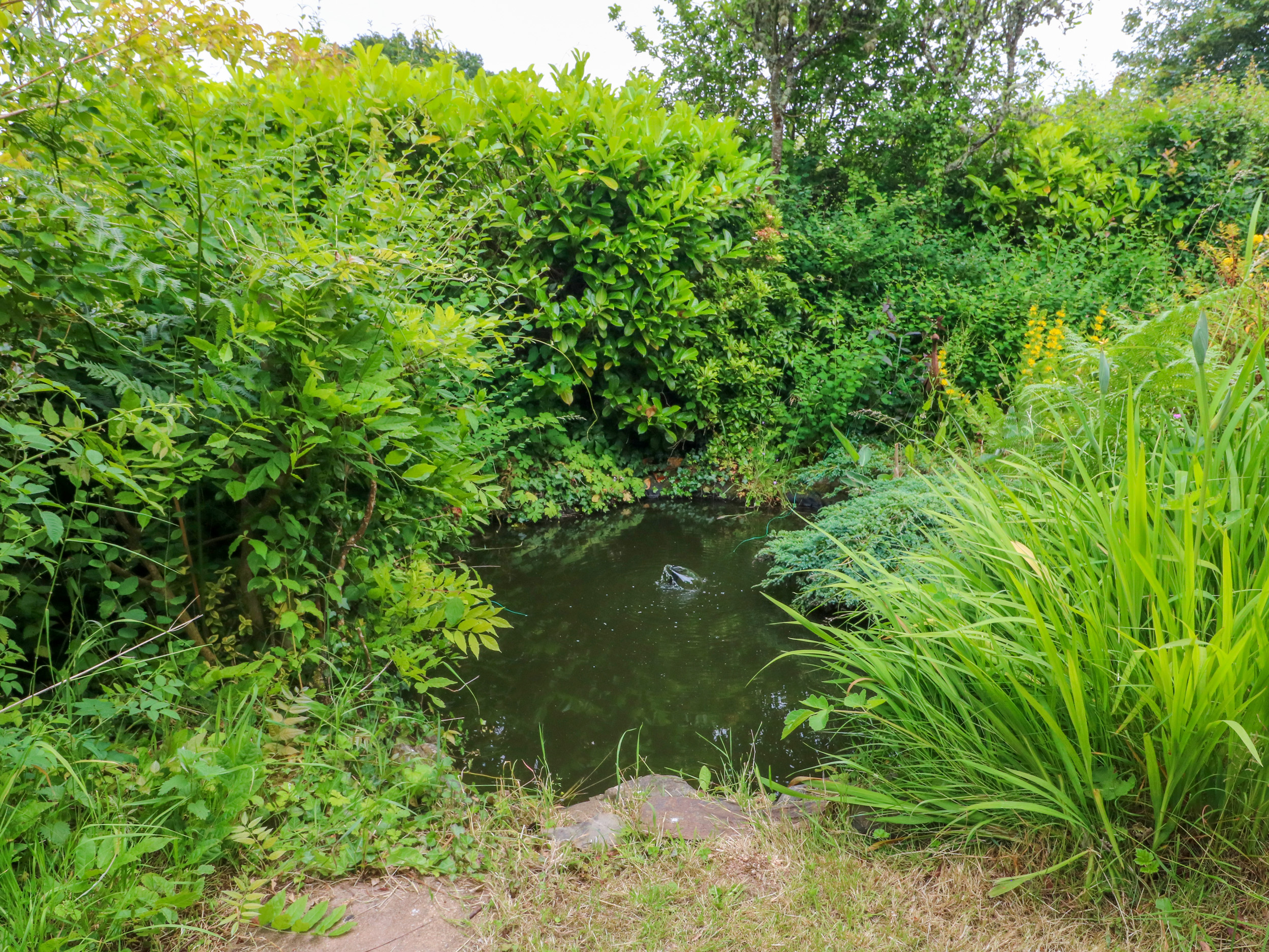 Property image 30 for SC1117864