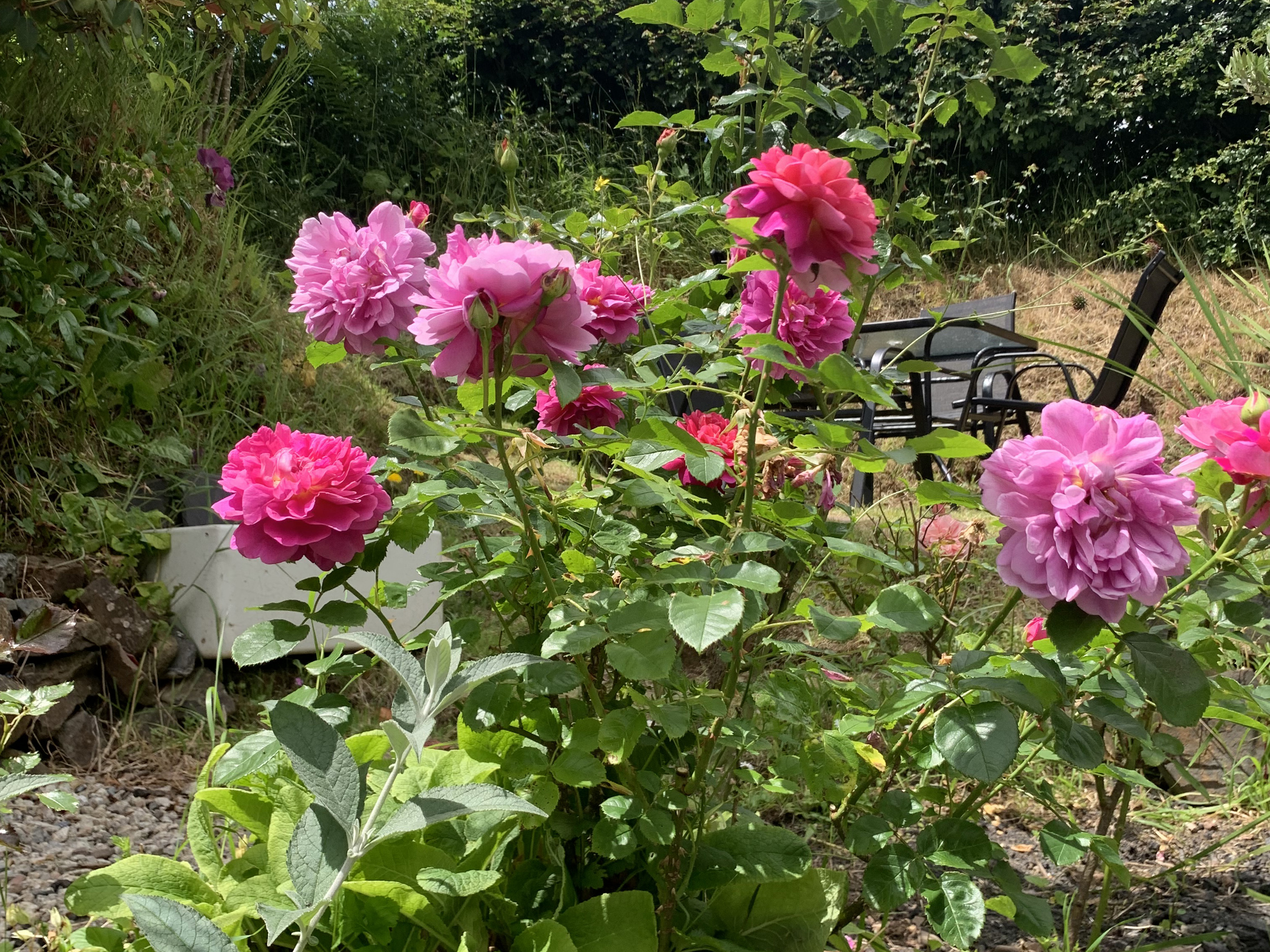 Property image 4 for SC1117864