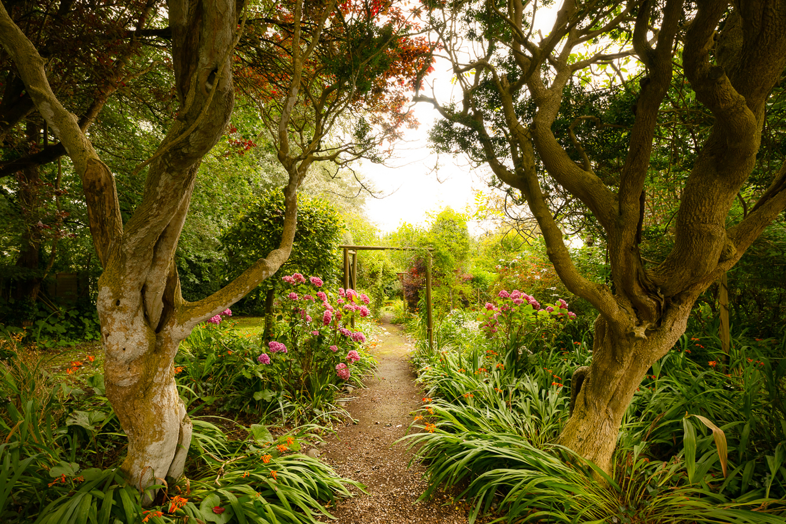 Property image 24 for SC1119630