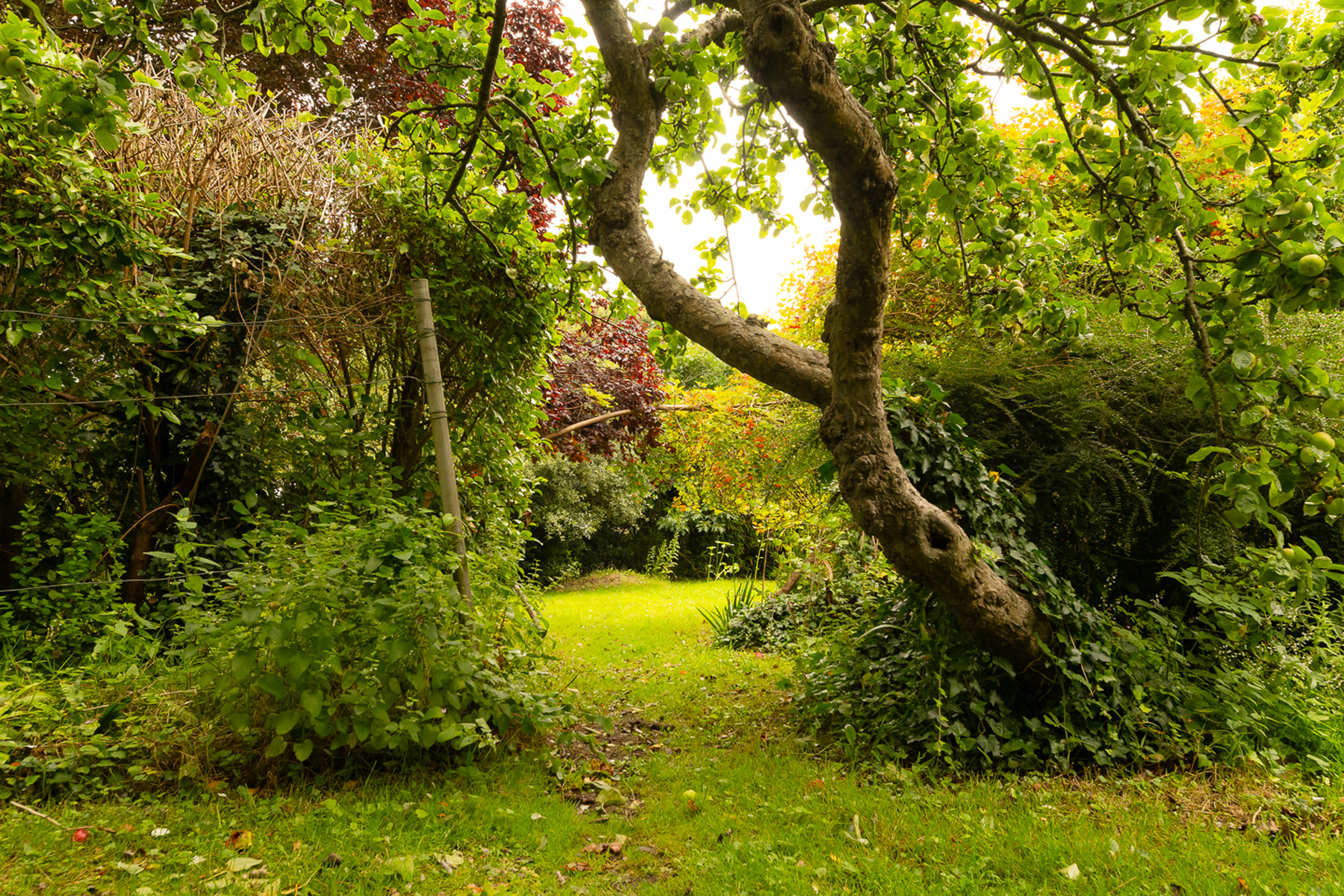 Property image 25 for SC1119630