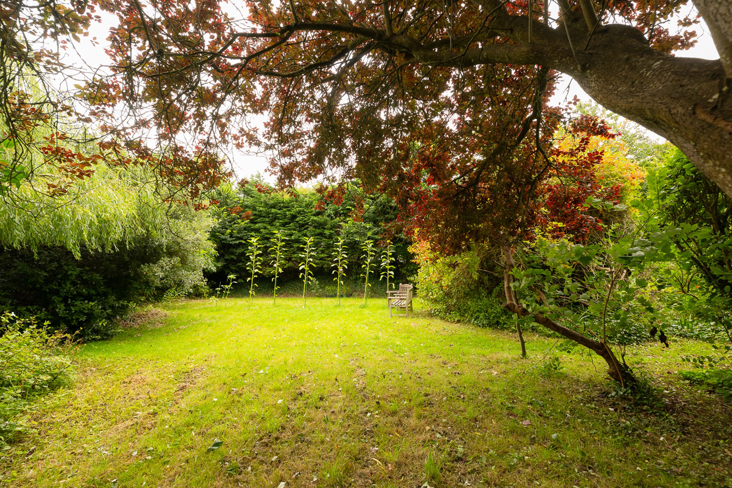 Property image 26 for SC1119630