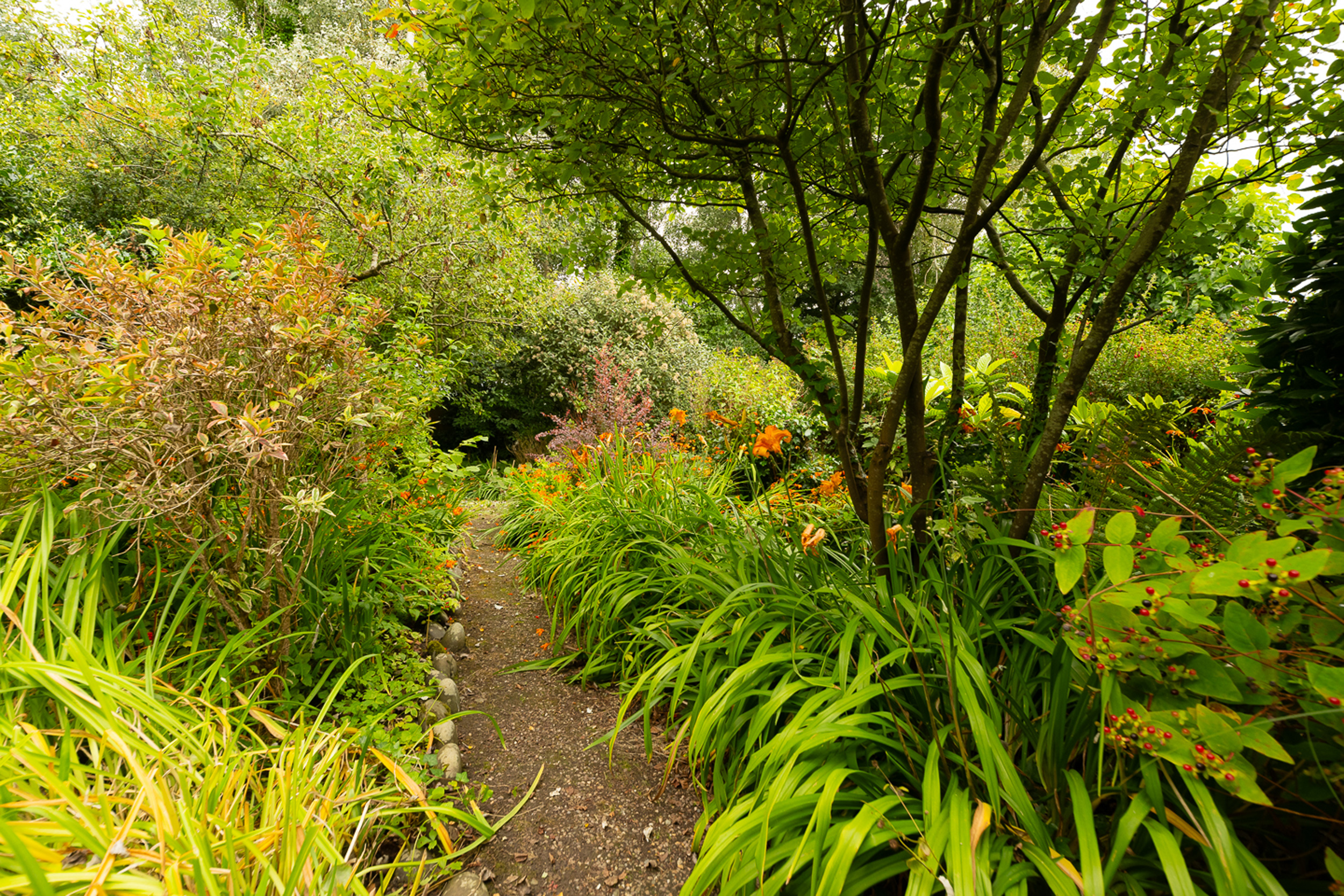 Property image 29 for SC1119630