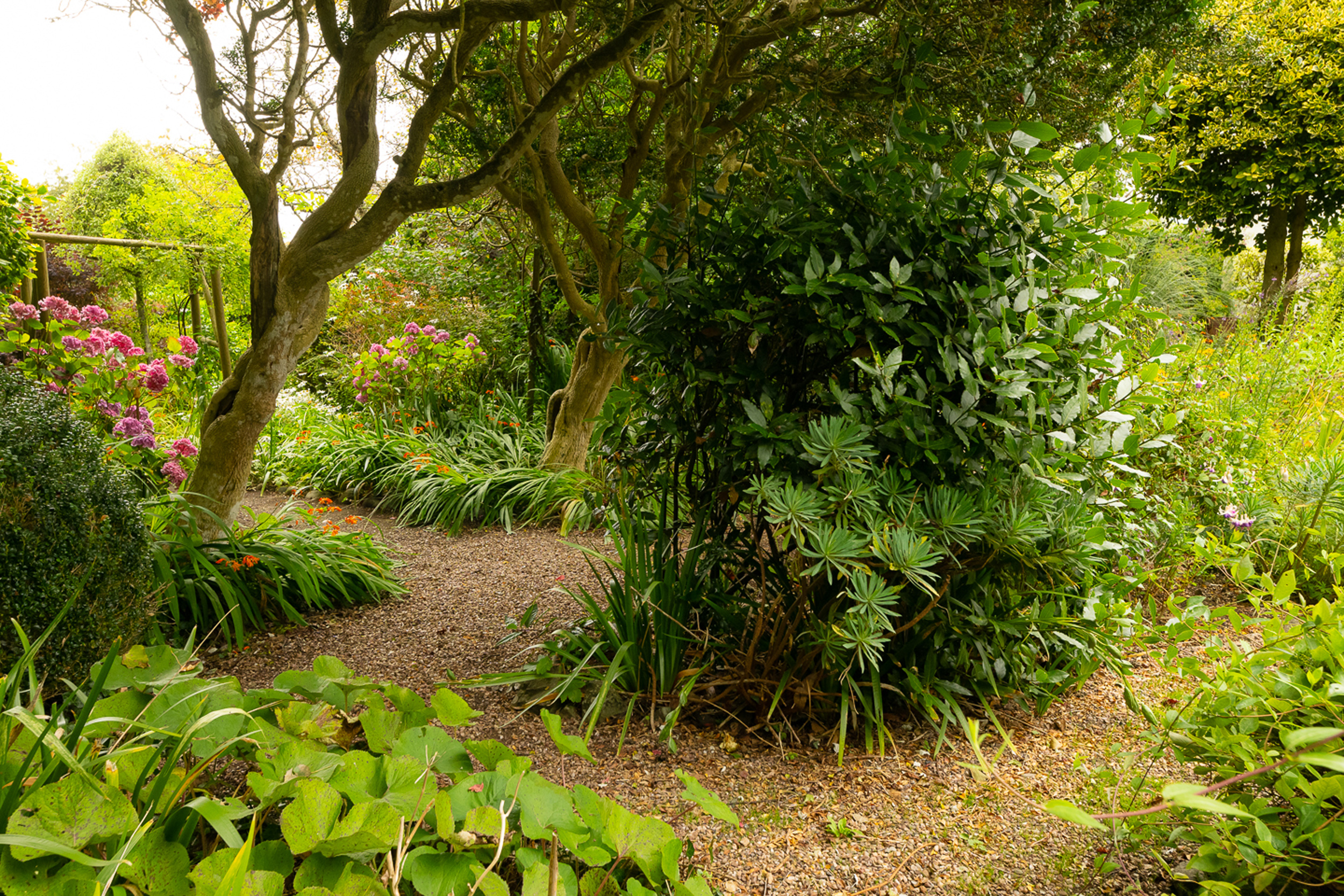 Property image 30 for SC1119630