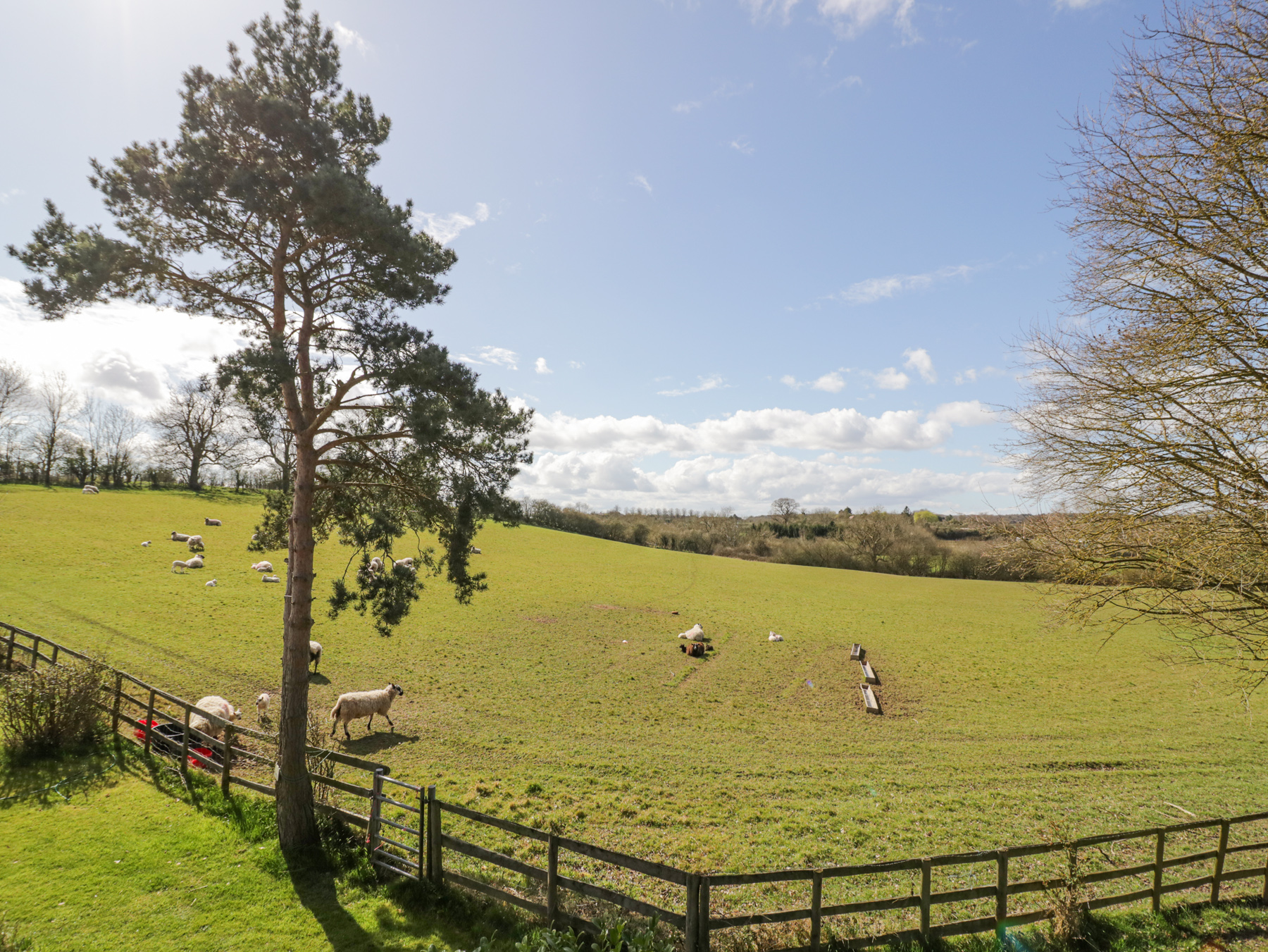 Property image 32 for SC1126648