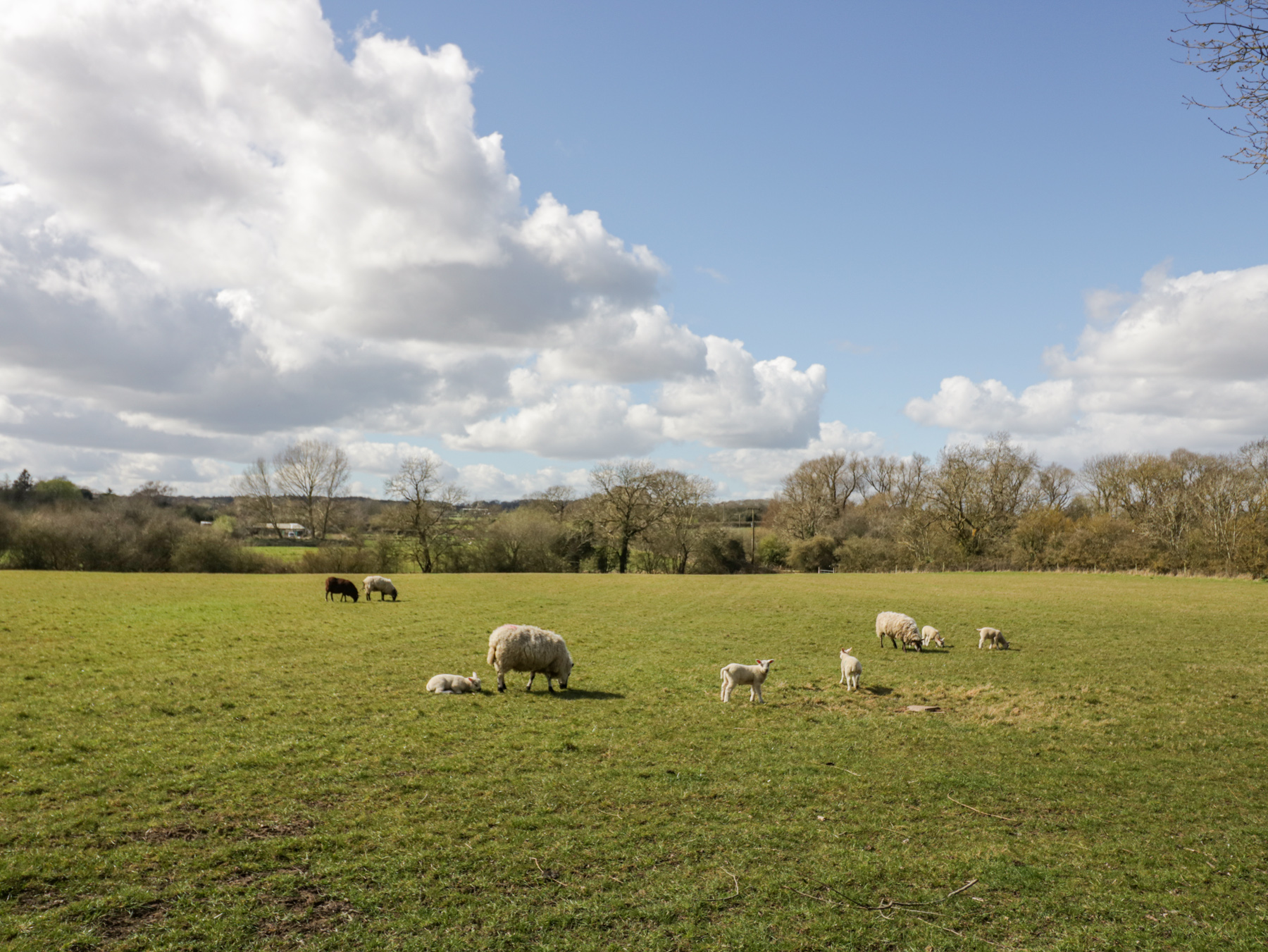 Property image 34 for SC1126648