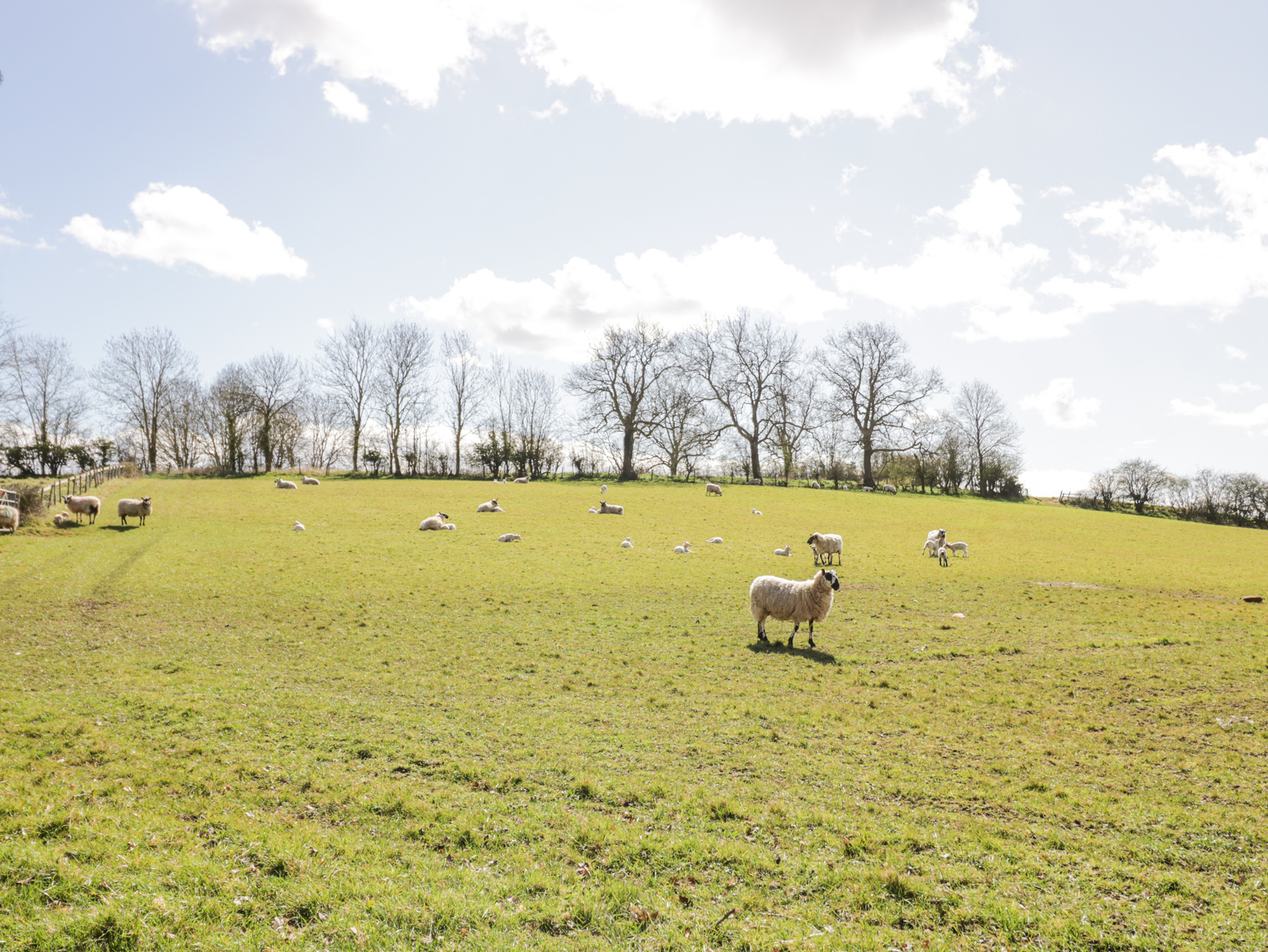 Property image 35 for SC1126648