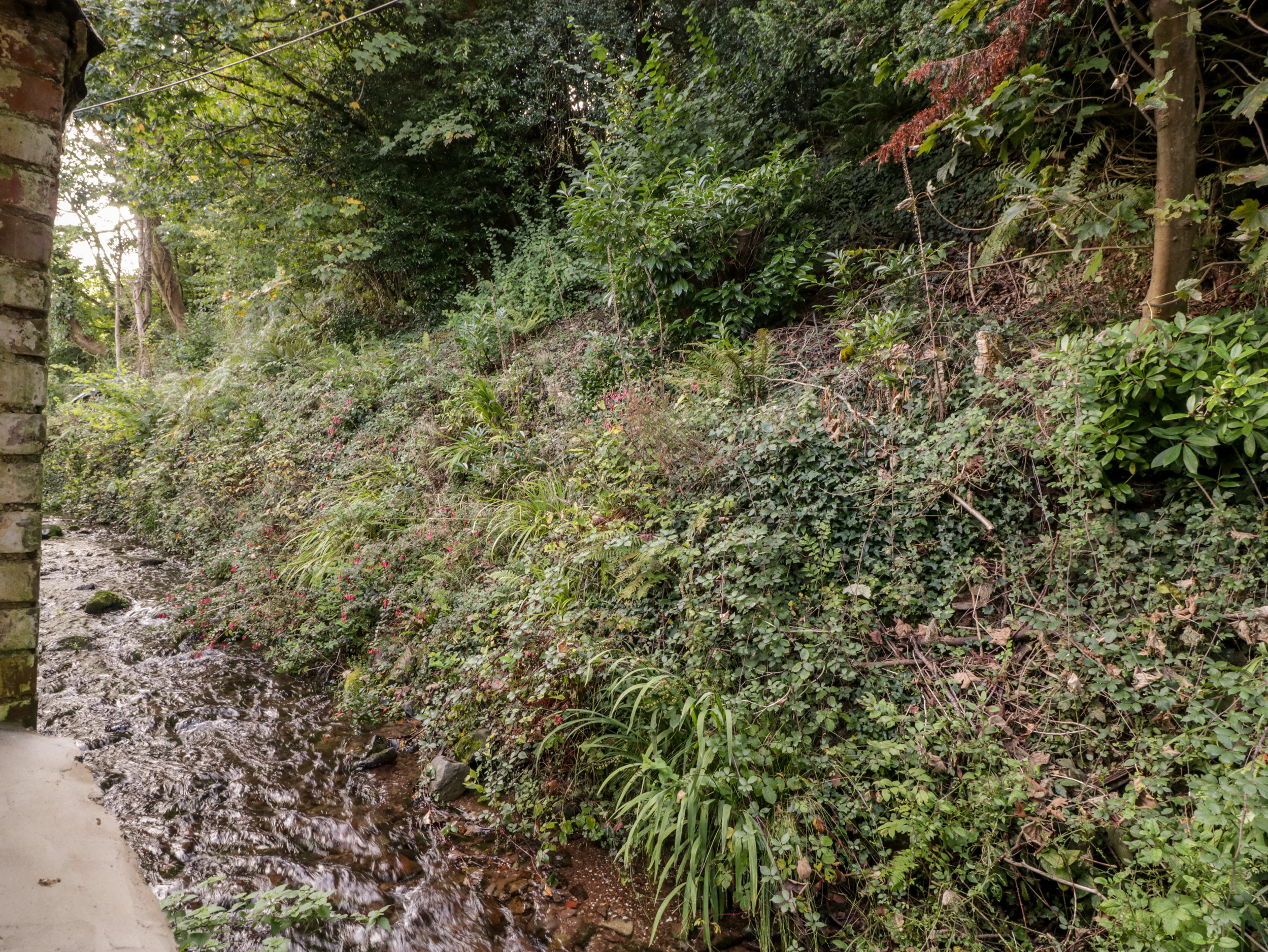 Property image 16 for SC1127556