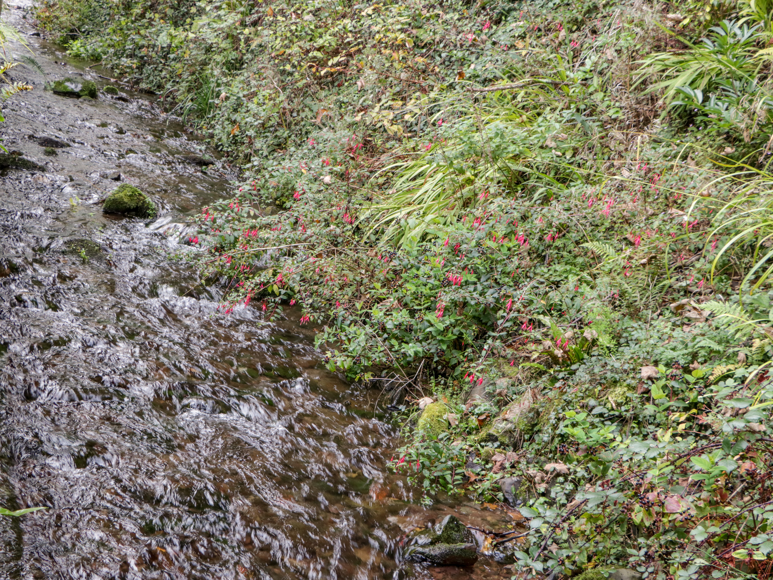 Property image 27 for SC1127556