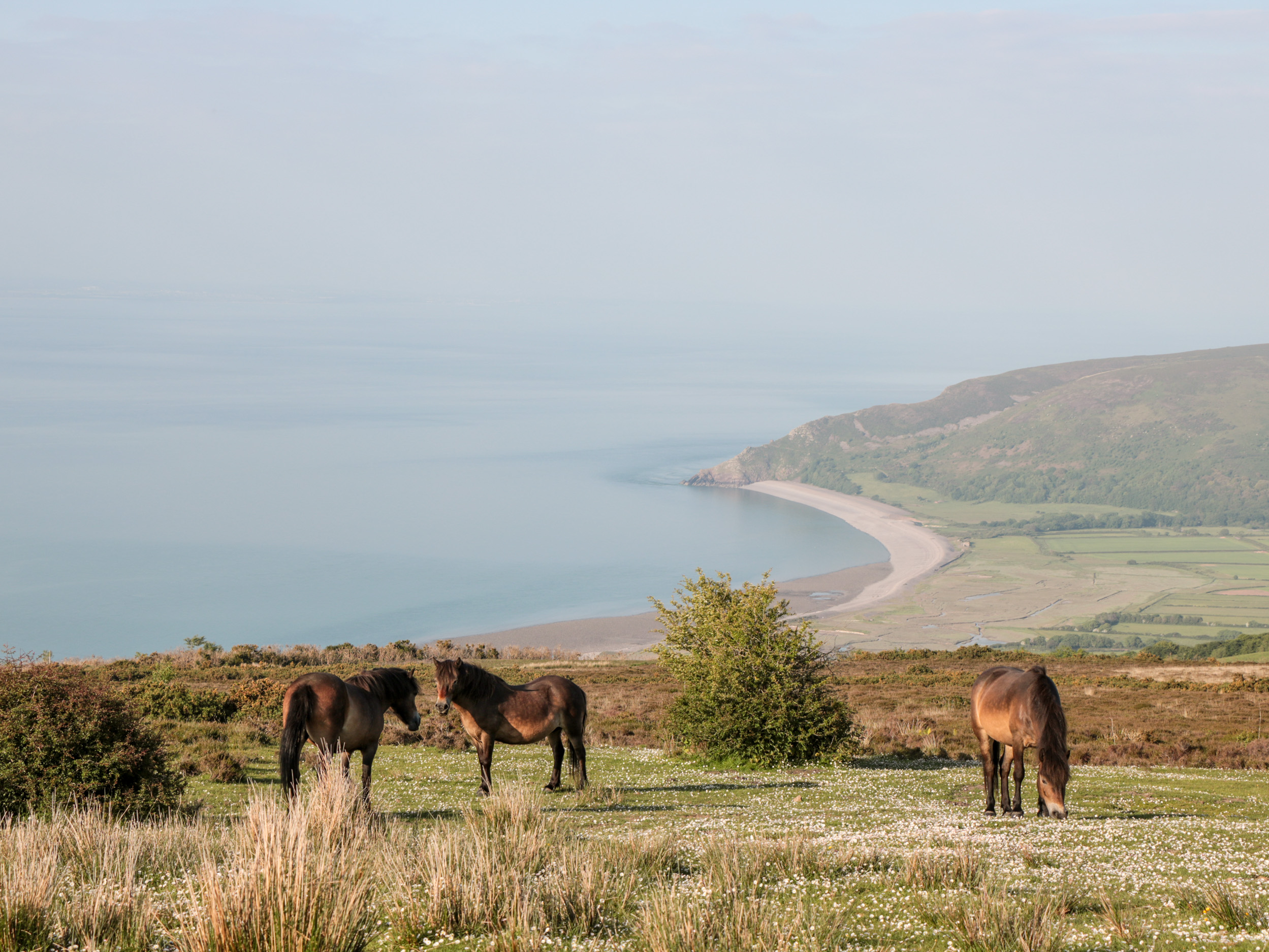 Property image 30 for SC1127556