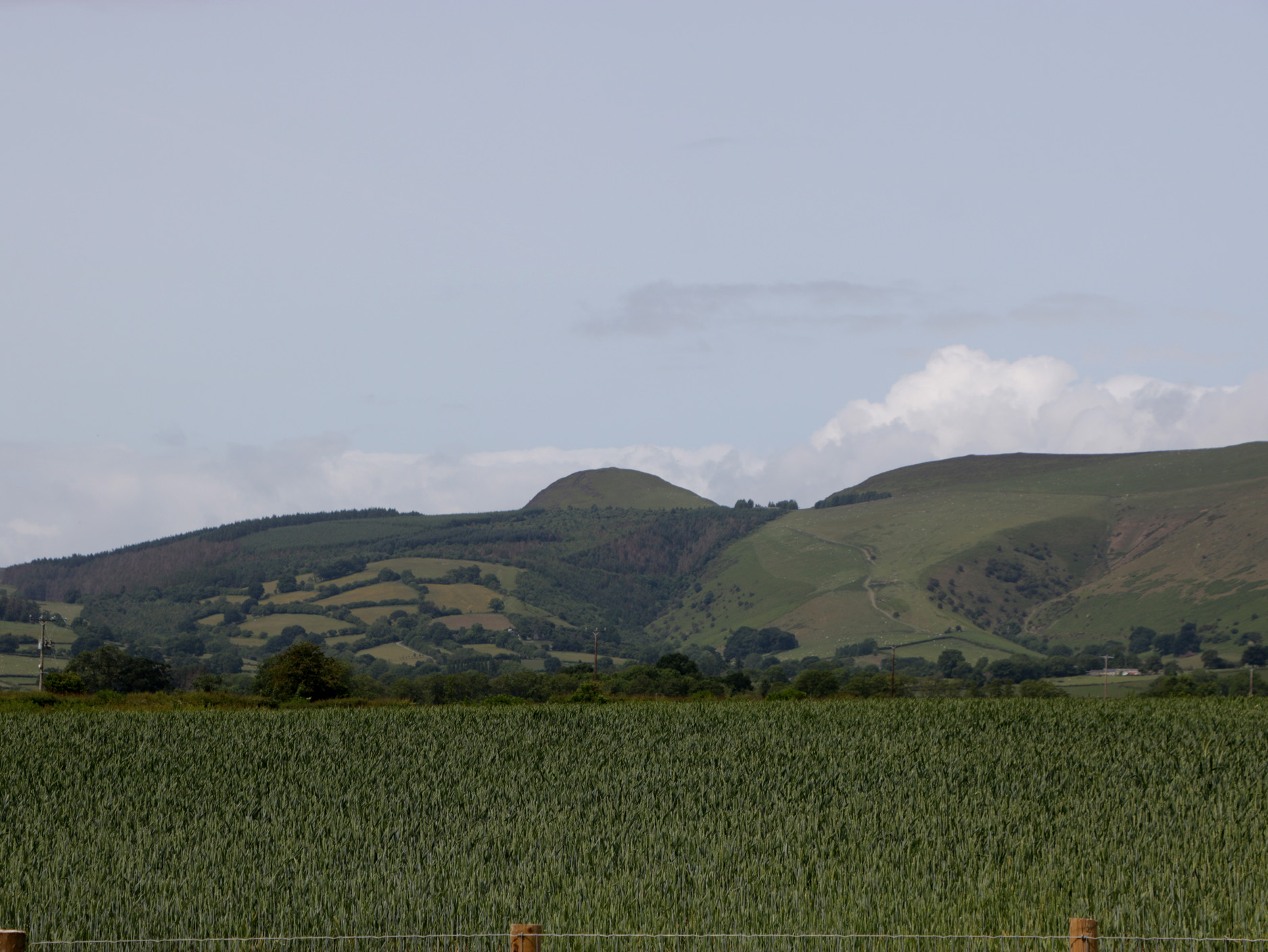 Property image 133 for SC1127715