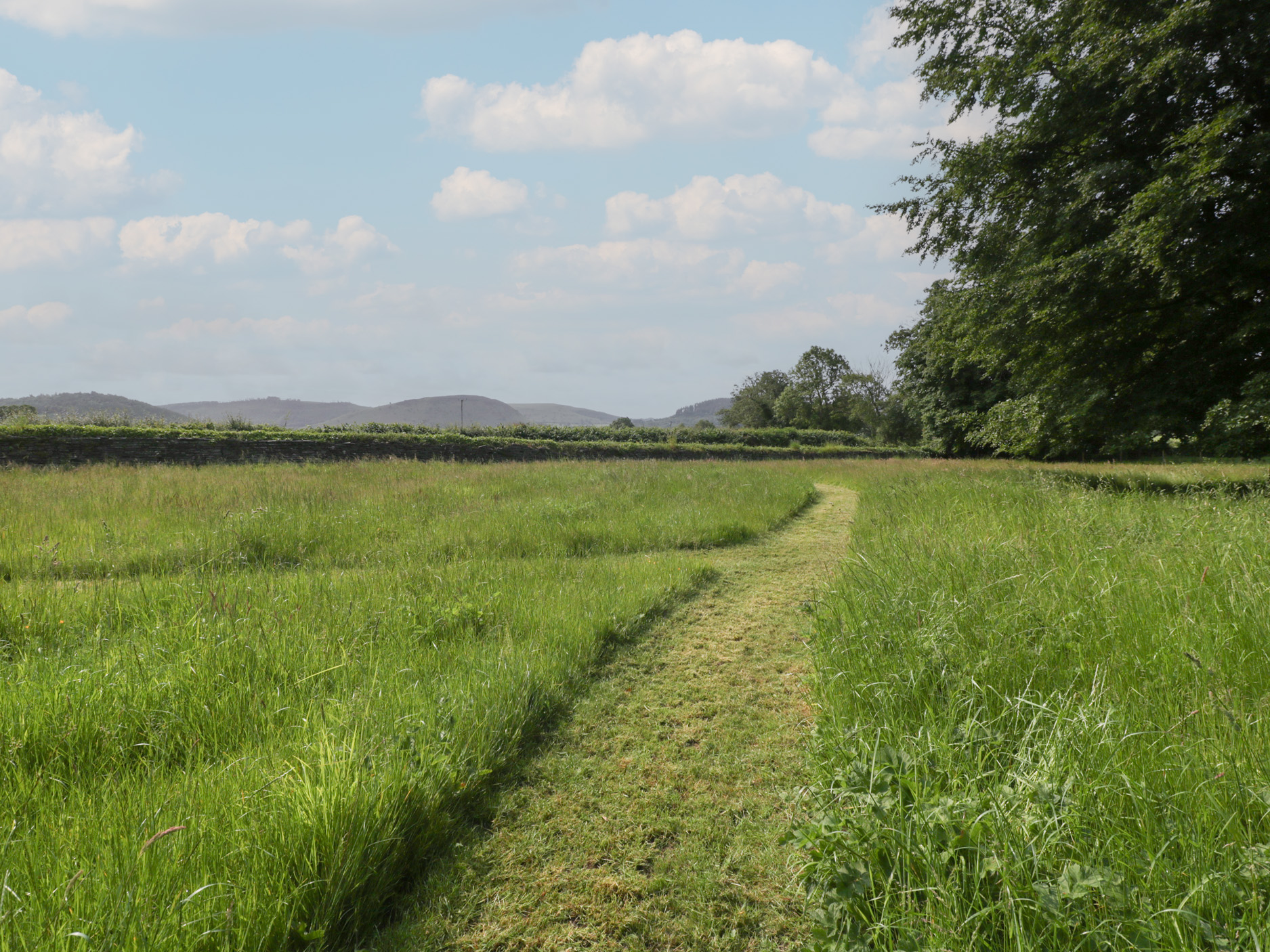 Property image 154 for SC1127715