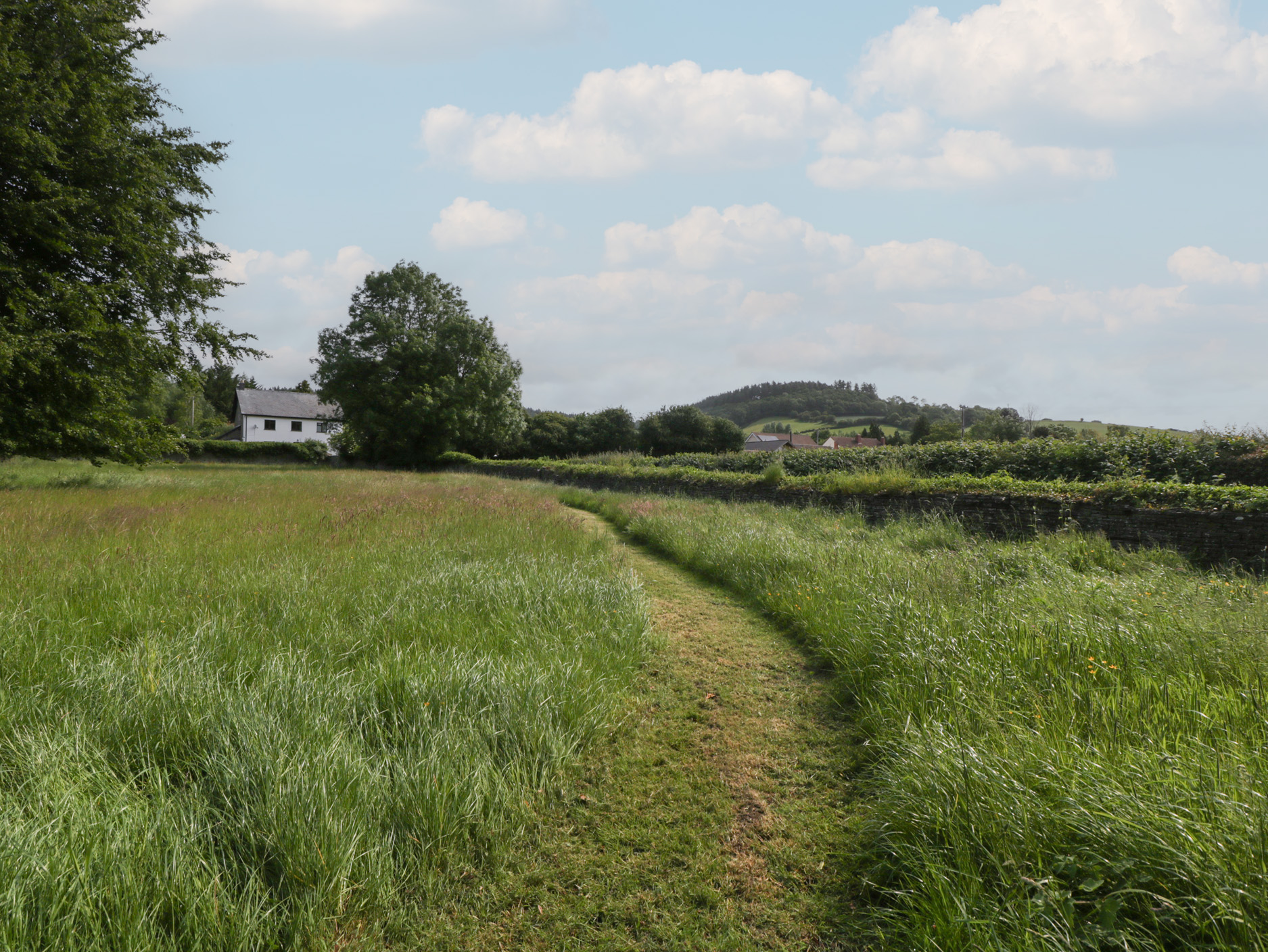 Property image 155 for SC1127715