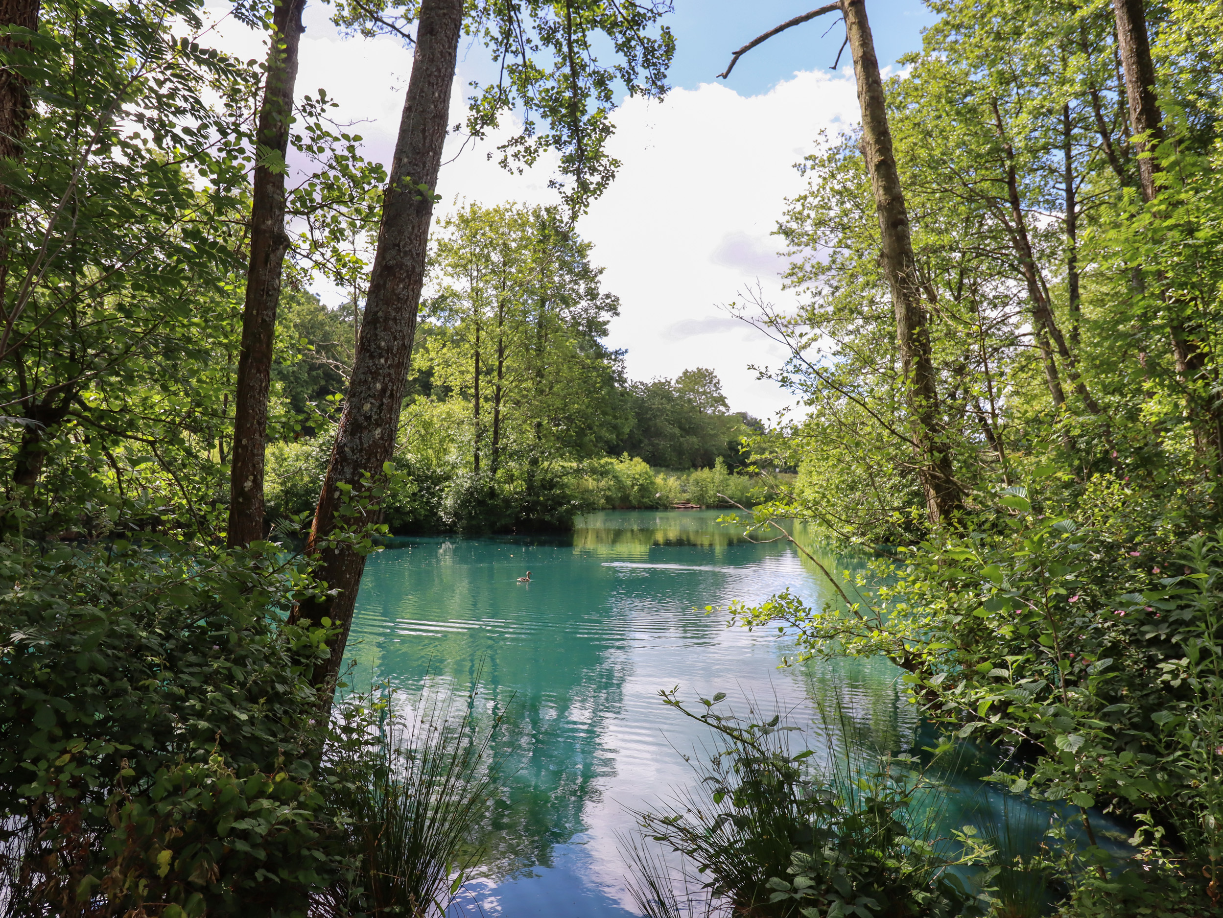 Property image 43 for SC1127843