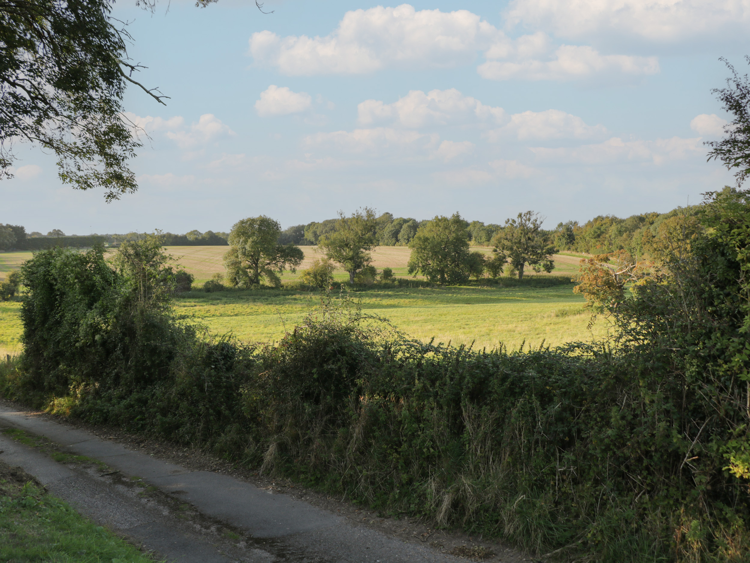 Property image 18 for SC1127913